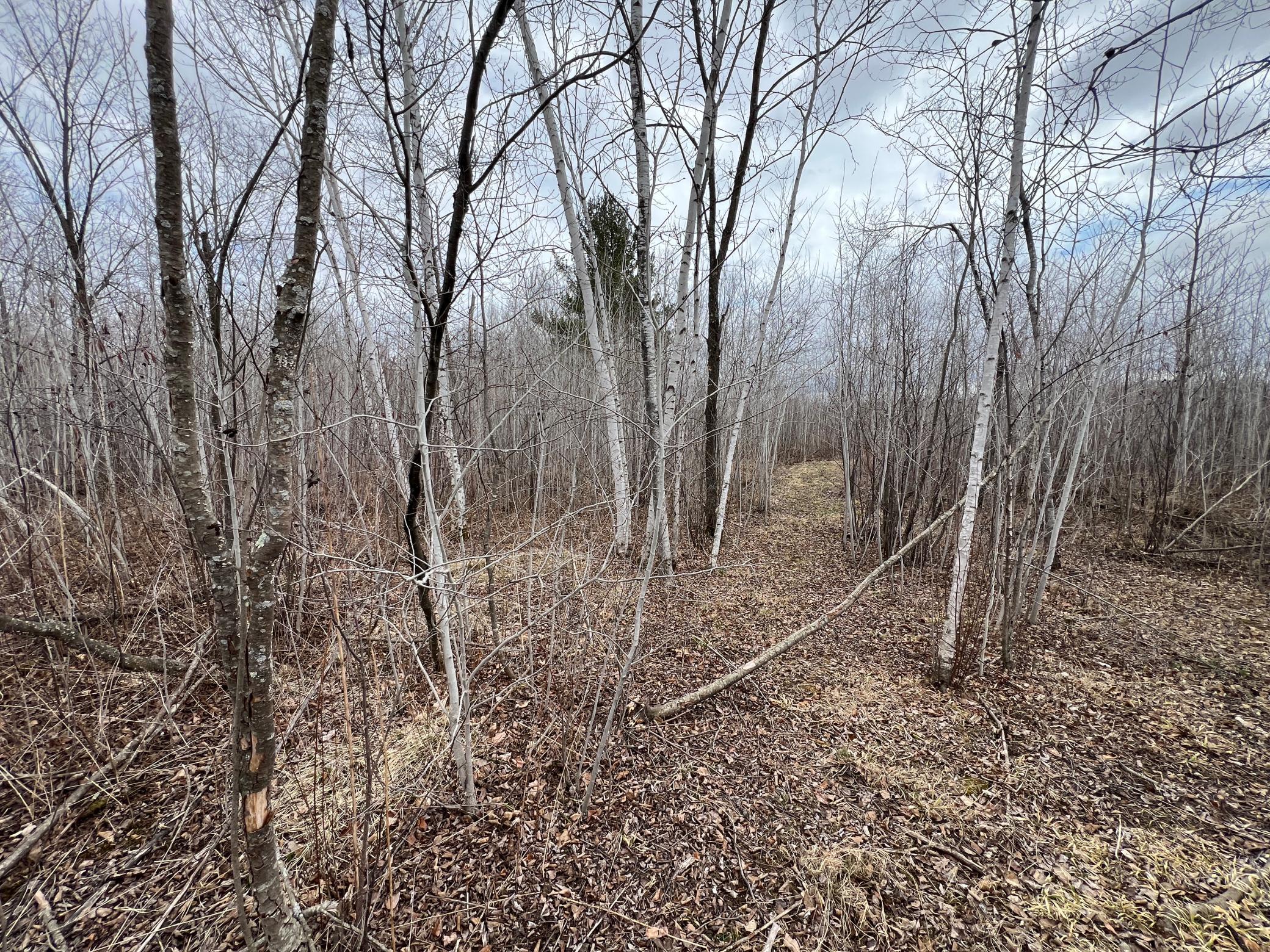 000 Blueberry Island Rd, Hinckley, Minnesota image 19
