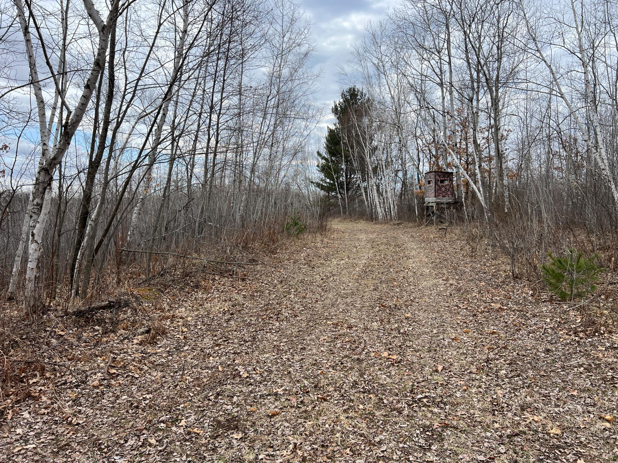 000 Blueberry Island Rd, Hinckley, Minnesota image 30