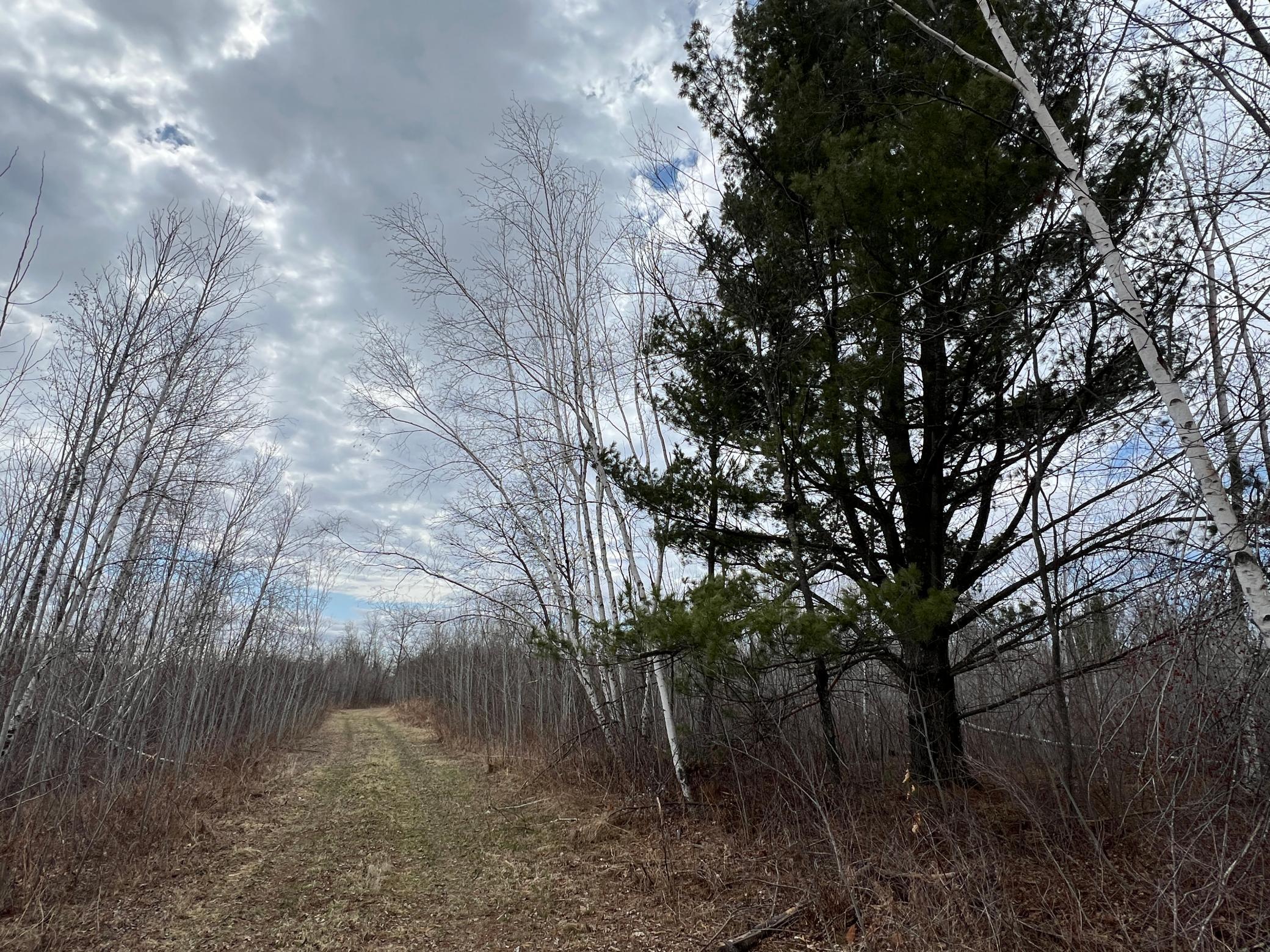 000 Blueberry Island Rd, Hinckley, Minnesota image 32