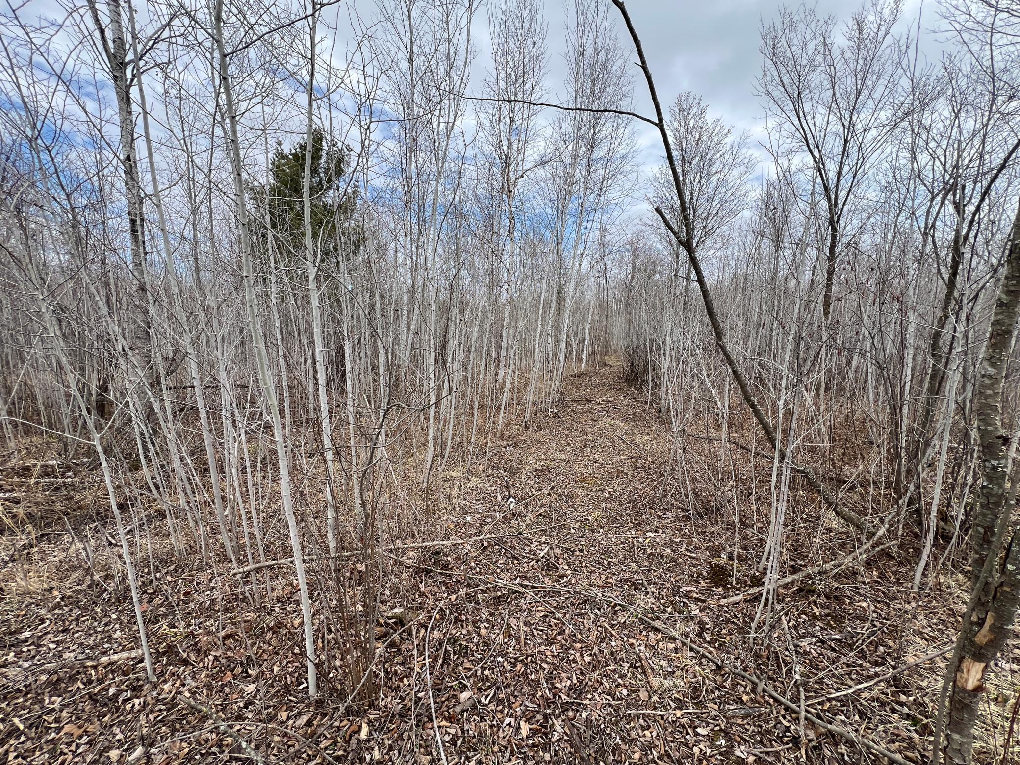 000 Blueberry Island Rd, Hinckley, Minnesota image 18