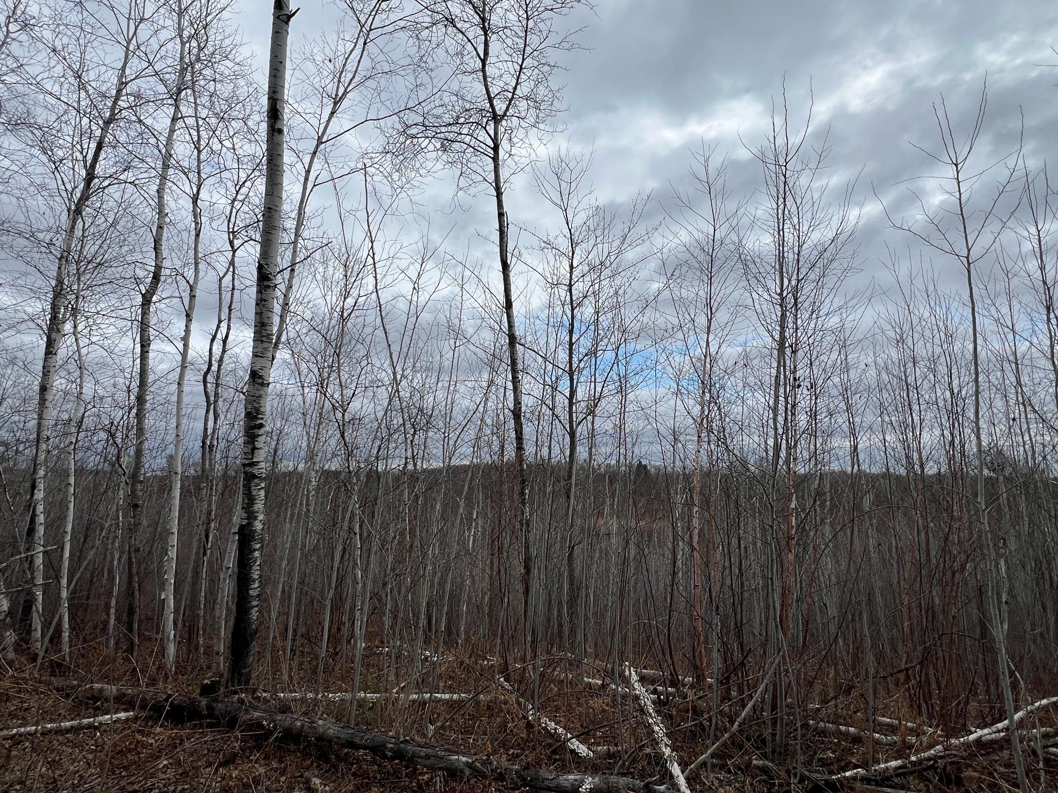 000 Blueberry Island Rd, Hinckley, Minnesota image 33