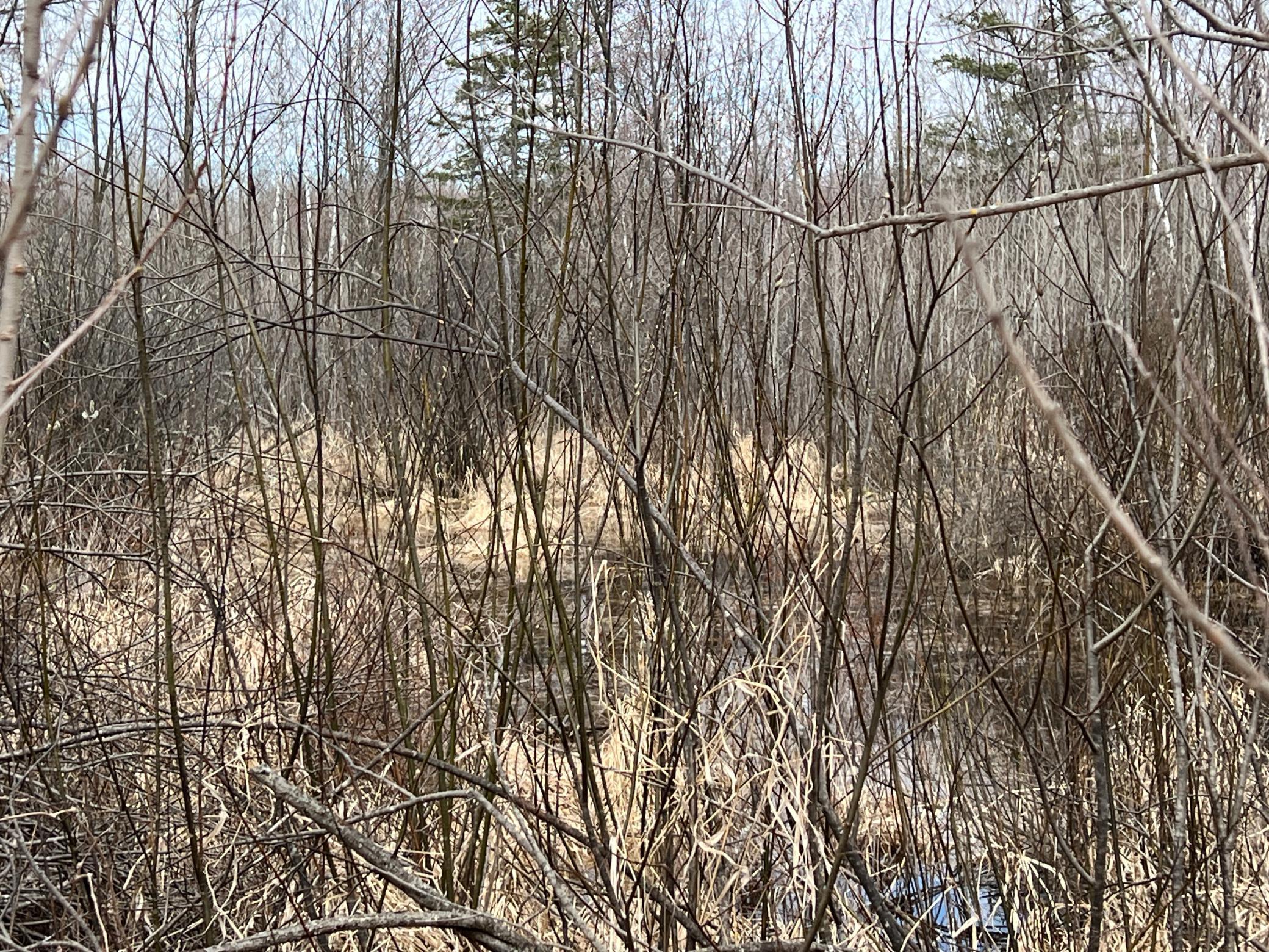 000 Blueberry Island Rd, Hinckley, Minnesota image 12