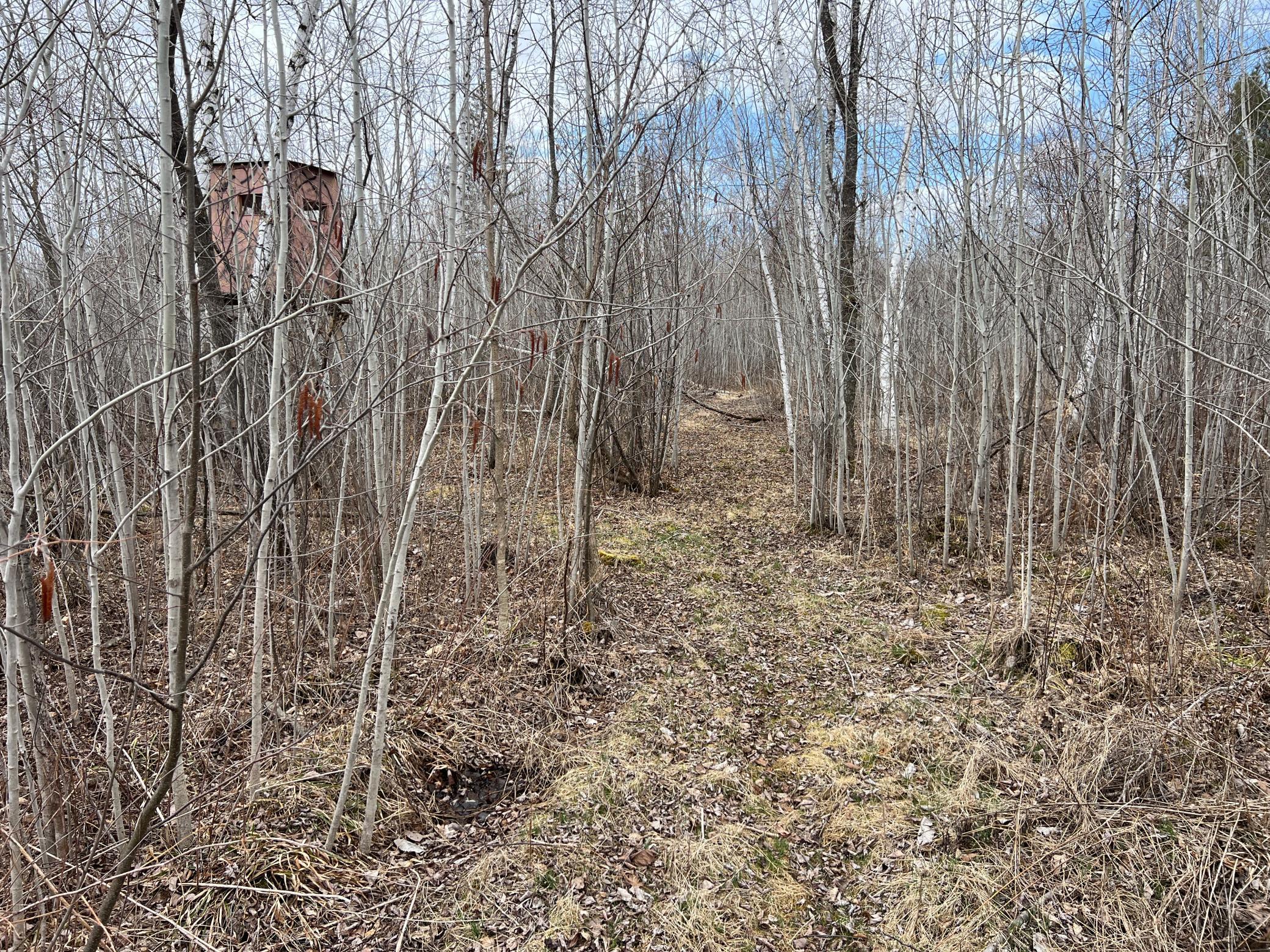 000 Blueberry Island Rd, Hinckley, Minnesota image 15
