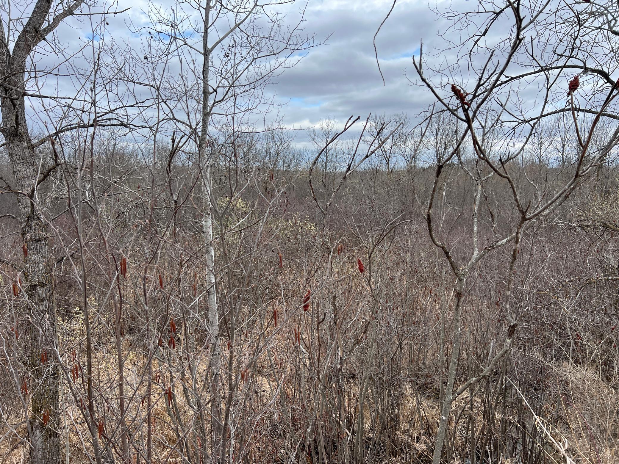 000 Blueberry Island Rd, Hinckley, Minnesota image 37