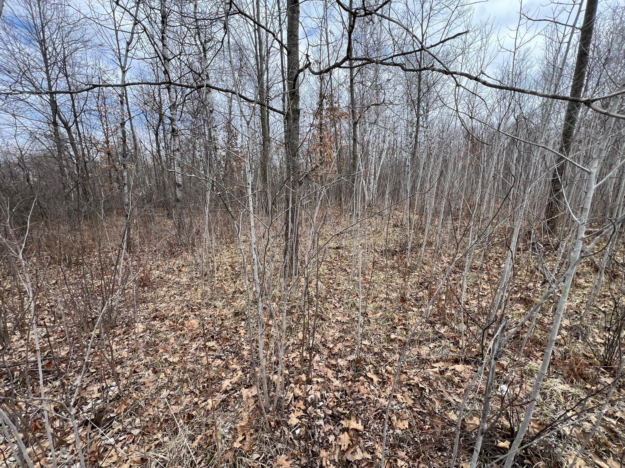 000 Blueberry Island Rd, Hinckley, Minnesota image 24
