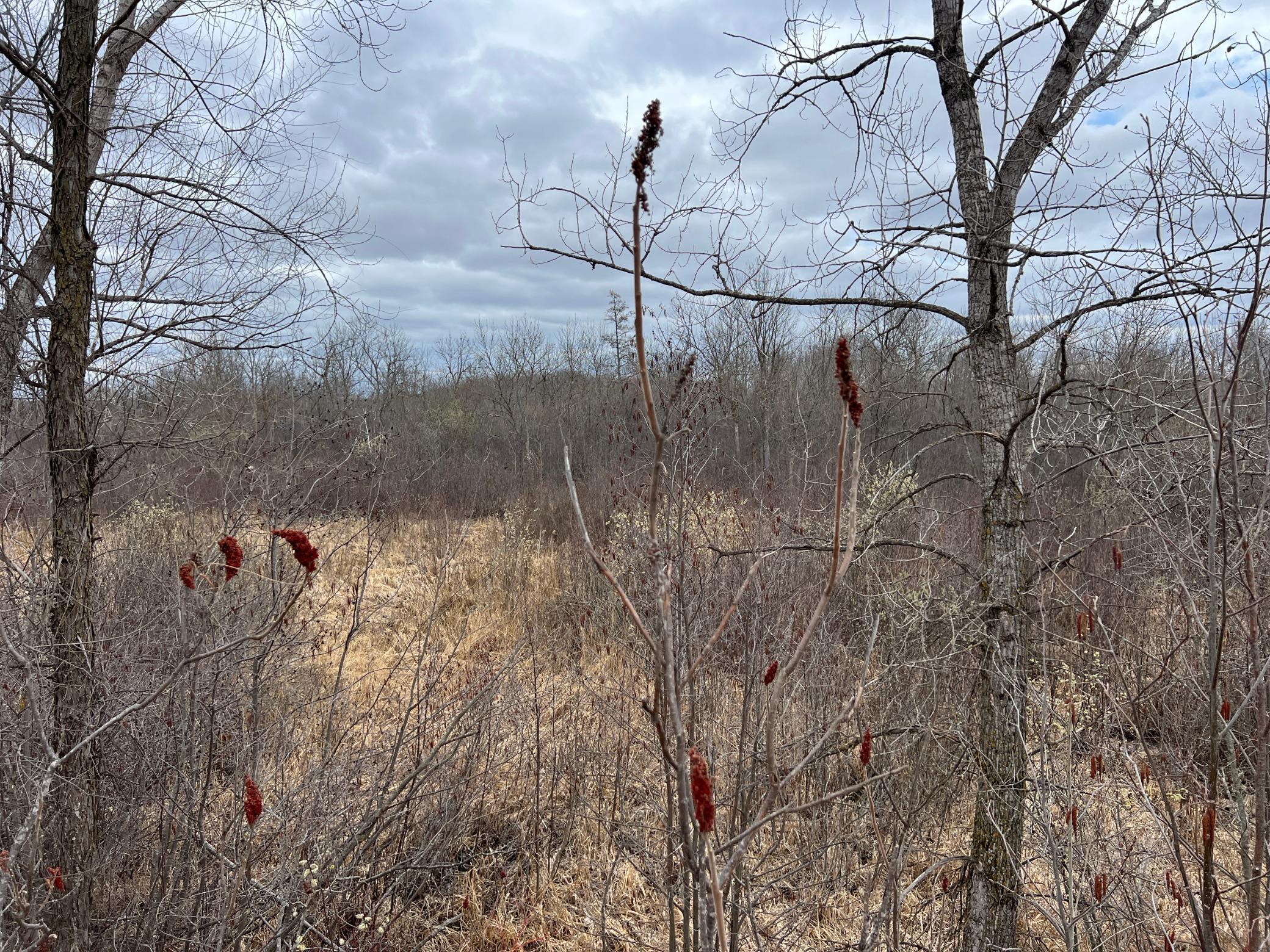 000 Blueberry Island Rd, Hinckley, Minnesota image 36
