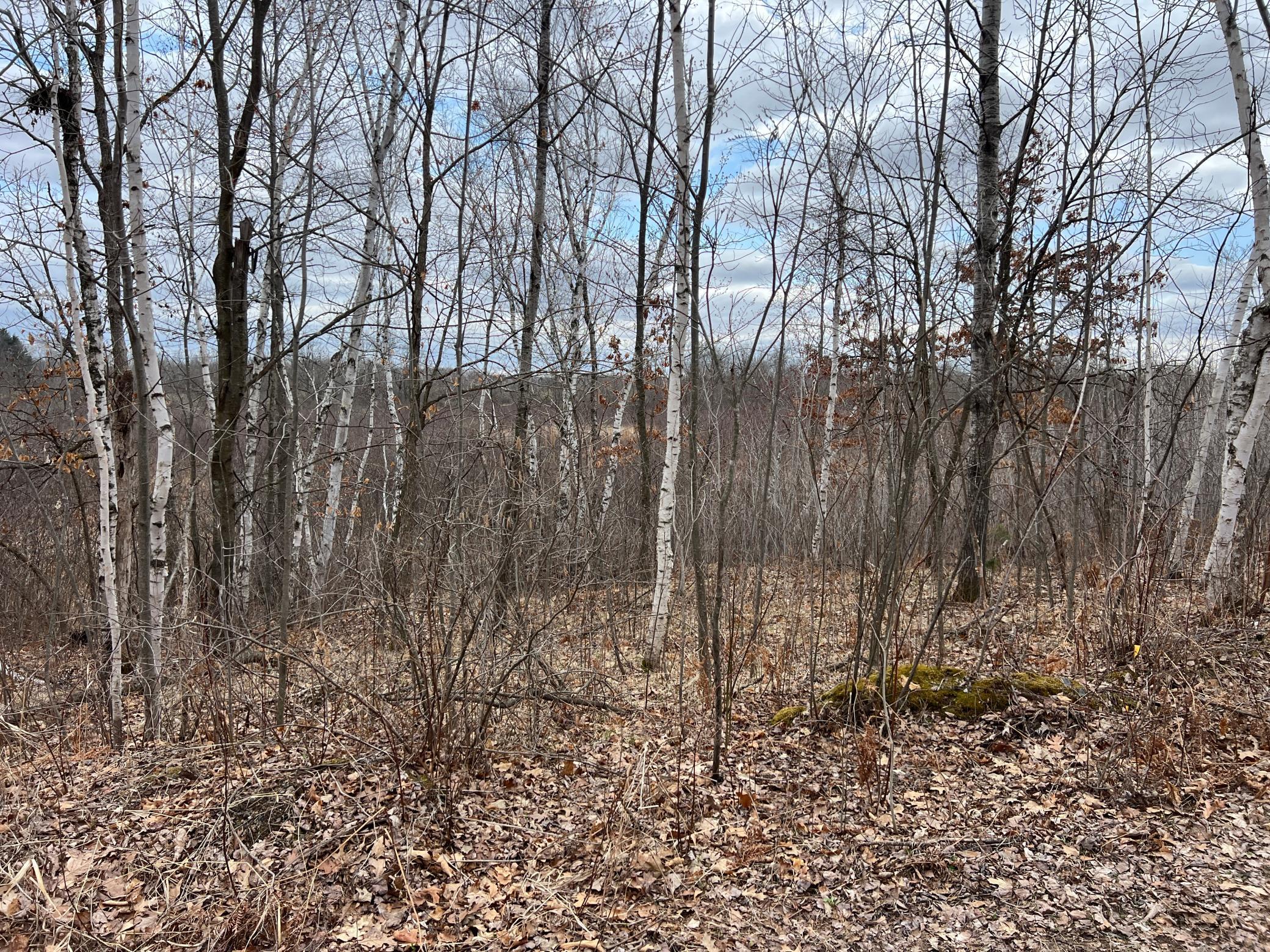 000 Blueberry Island Rd, Hinckley, Minnesota image 29