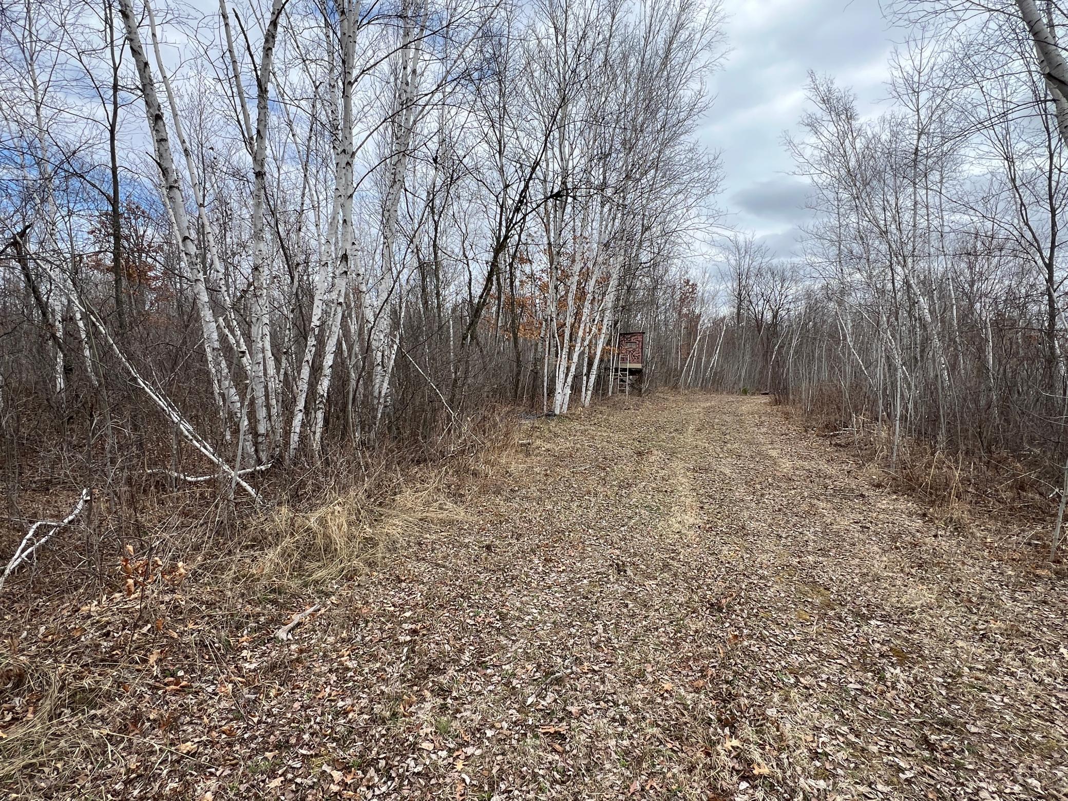 000 Blueberry Island Rd, Hinckley, Minnesota image 34