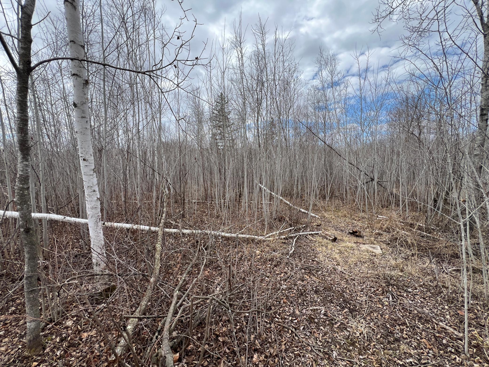 000 Blueberry Island Rd, Hinckley, Minnesota image 17