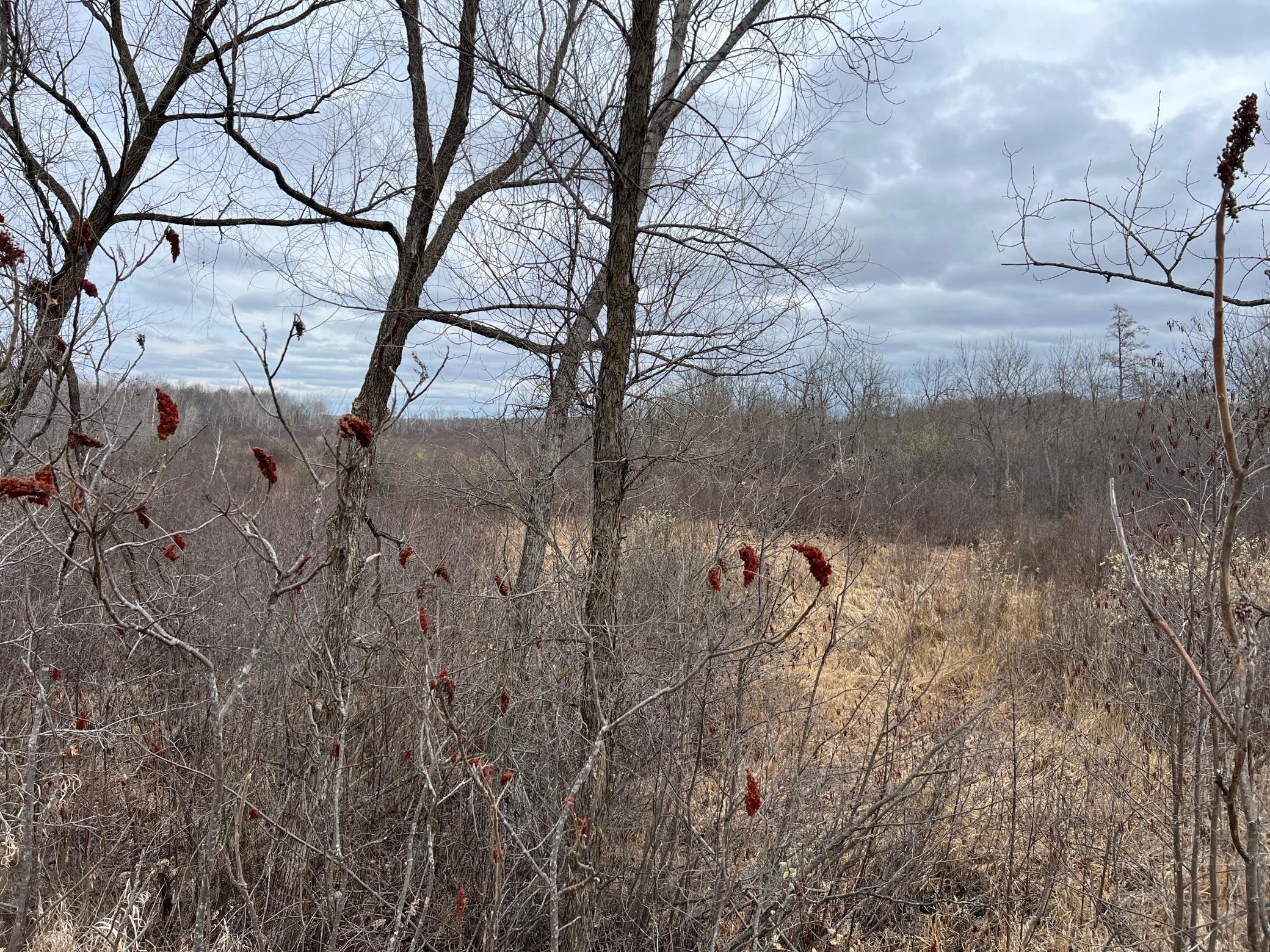000 Blueberry Island Rd, Hinckley, Minnesota image 35