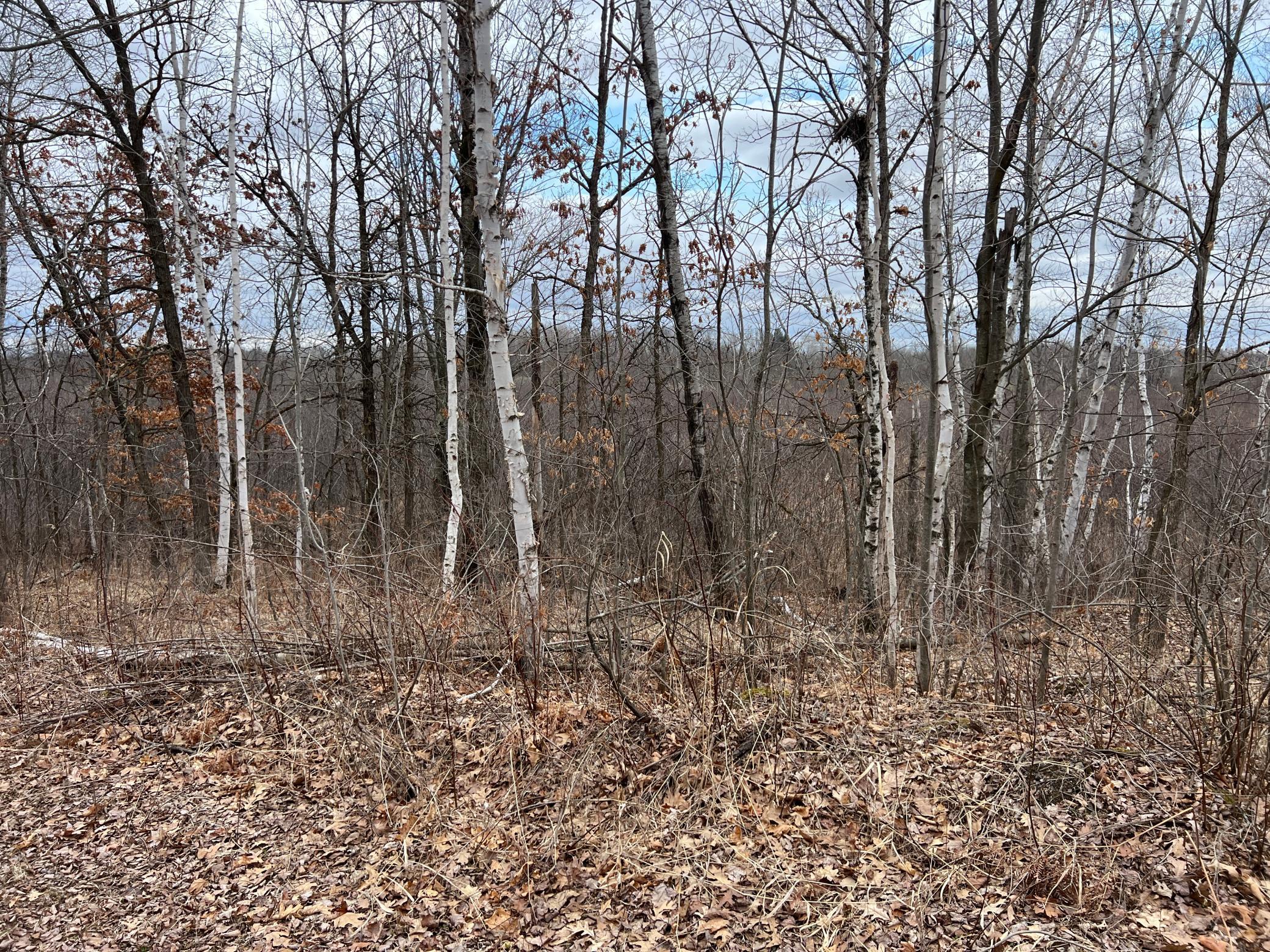 000 Blueberry Island Rd, Hinckley, Minnesota image 28