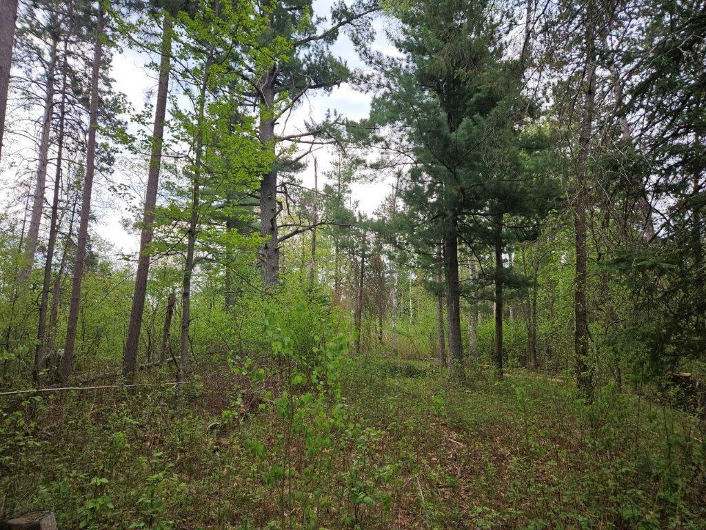 17773 370th Street, Bagley, Minnesota image 12