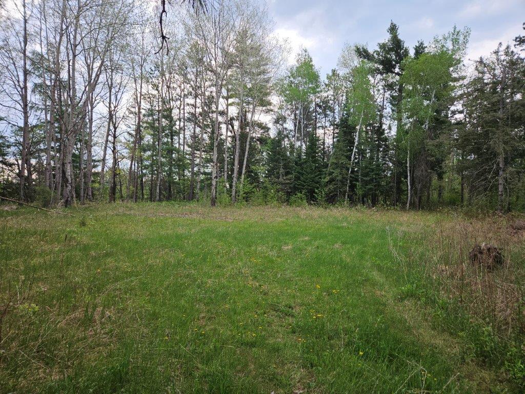 17773 370th Street, Bagley, Minnesota image 11