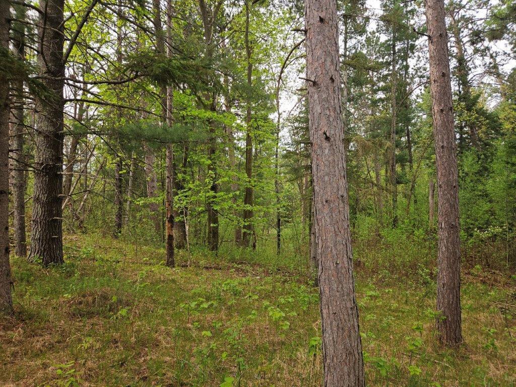 17773 370th Street, Bagley, Minnesota image 15