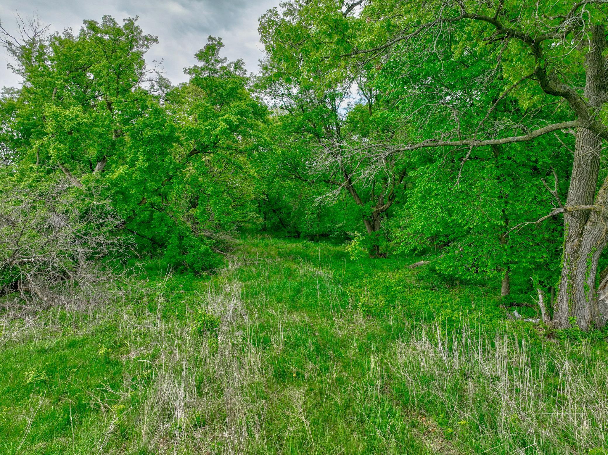 159 County Road Jj, River Falls, Wisconsin image 9