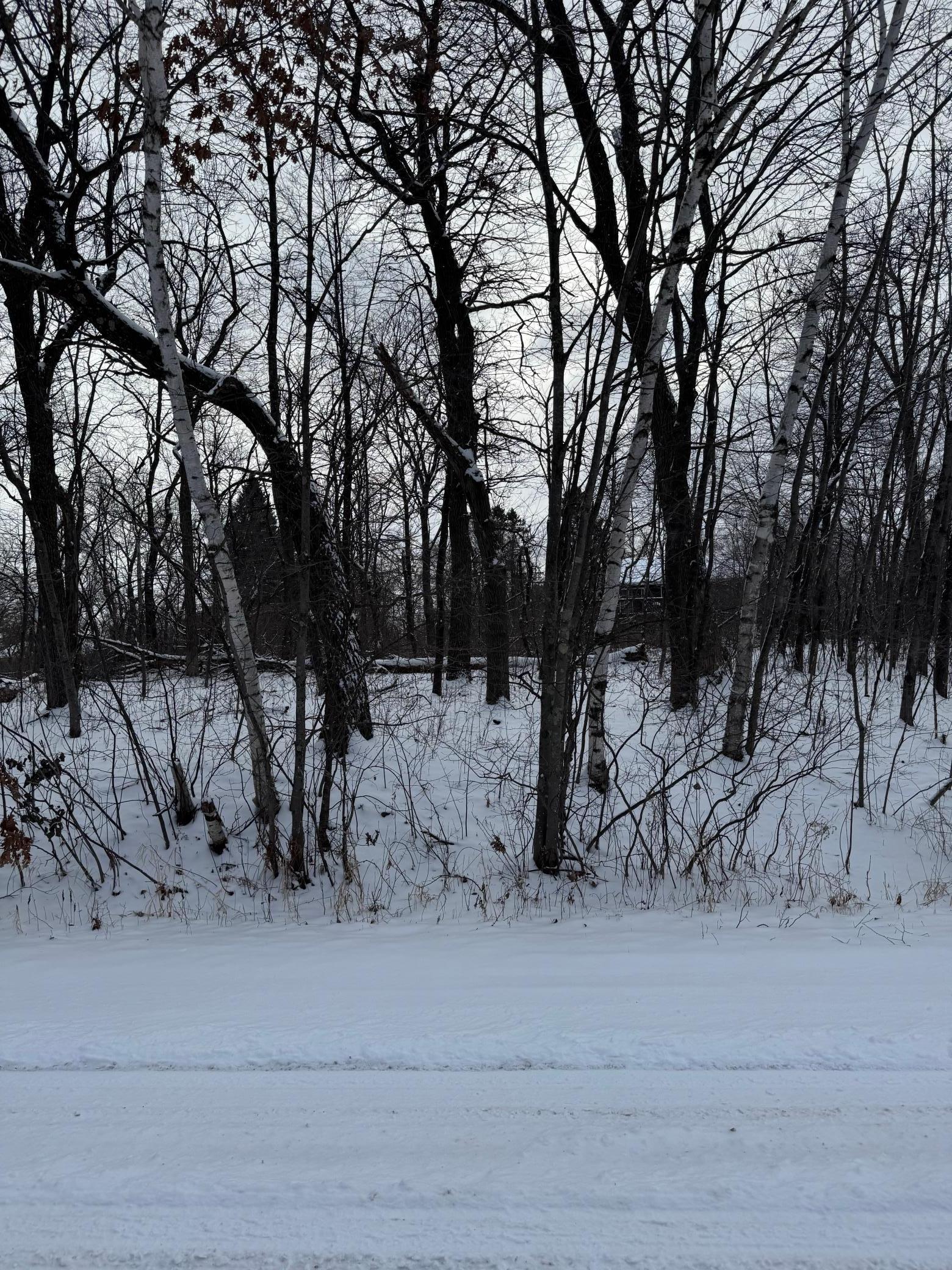 Xxxx 241st Avenue, Stacy, Minnesota image 13