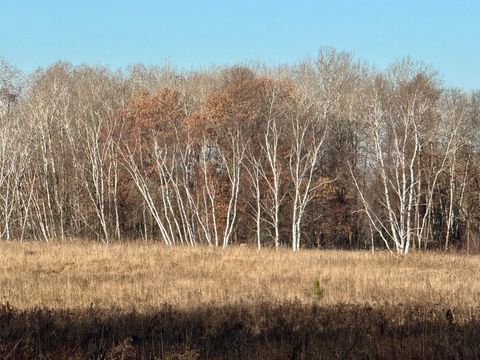 Vacant Land For Sale - 26XXX 175th Ave<br/> Fort Ripley, MN 56449