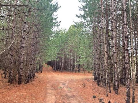 Vacant Land For Sale - XXX Hay Creek Boulevard<br/> Grantsburg, WI 54840