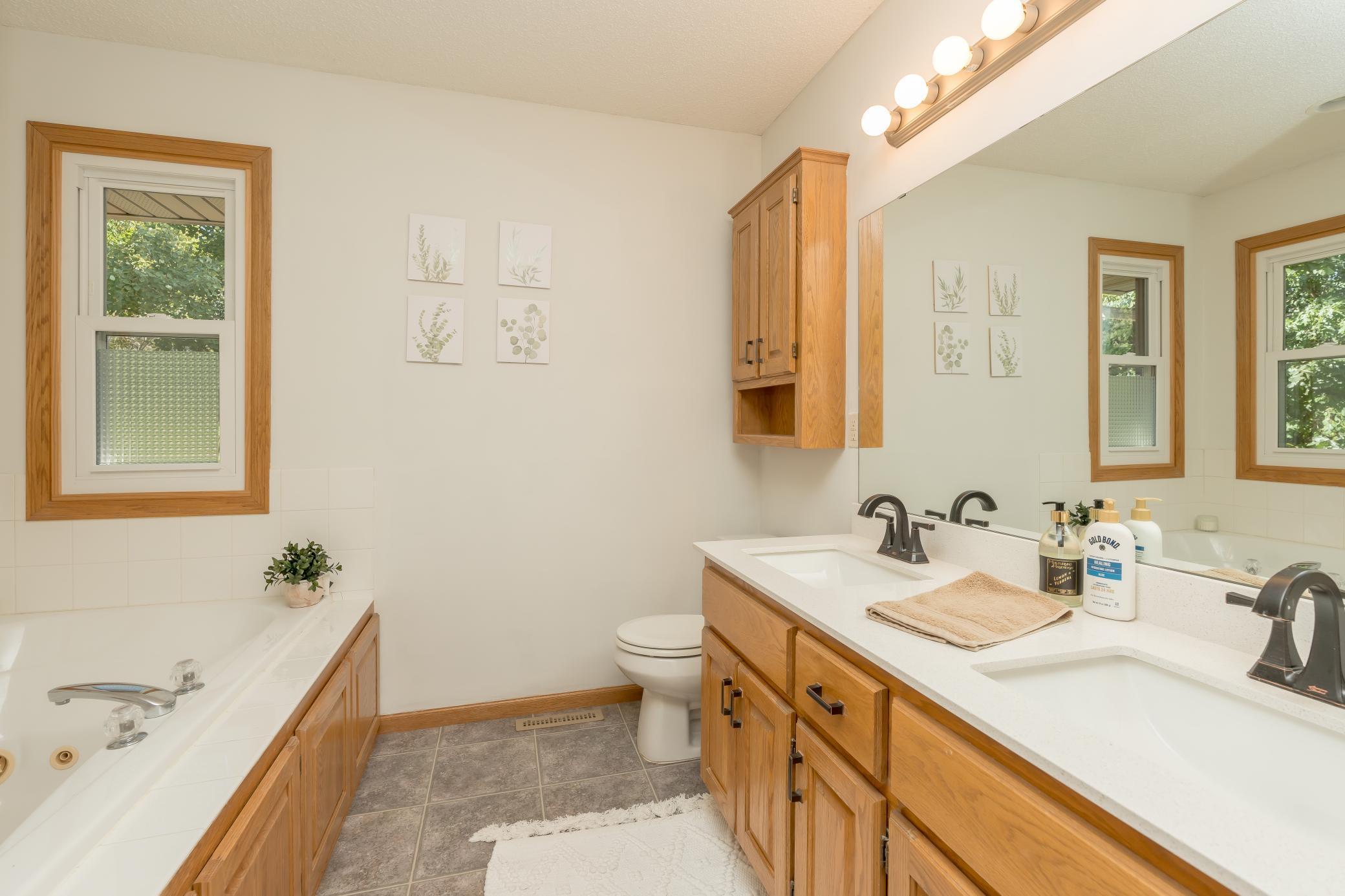 19493 Albany Circle, Elk River, Minnesota image 18