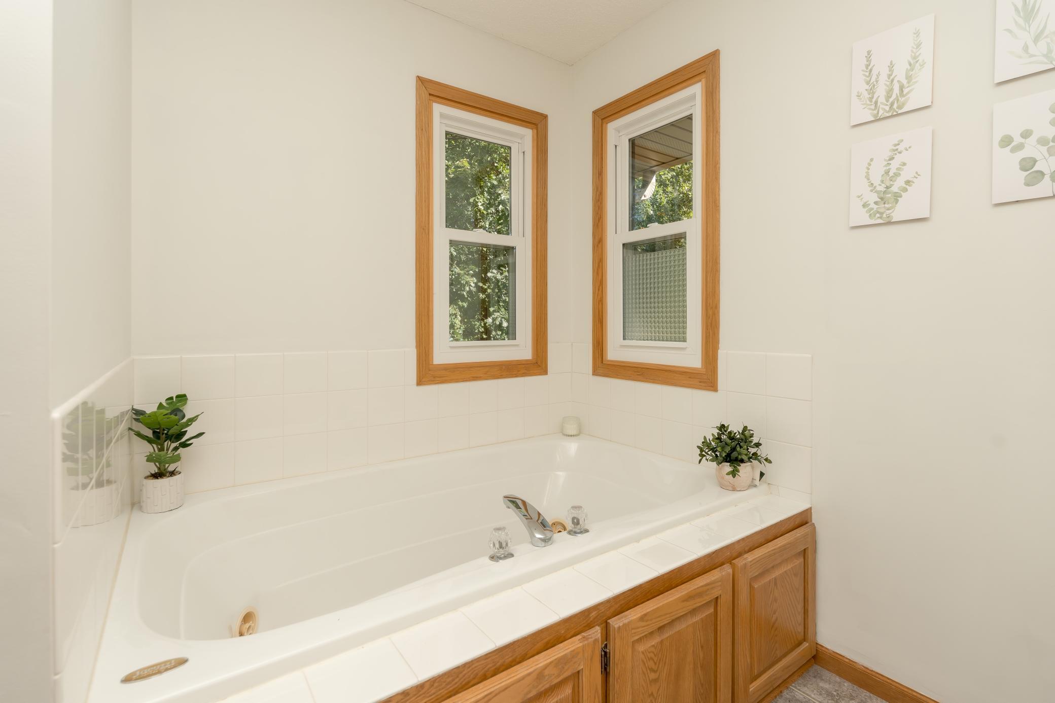 19493 Albany Circle, Elk River, Minnesota image 20