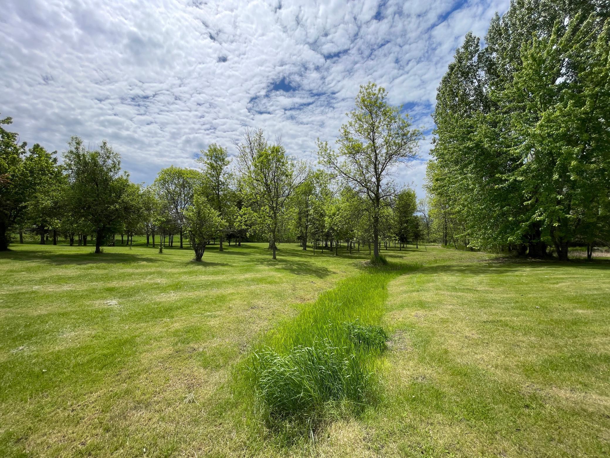 42897 County 2, Leonard, Minnesota image 37
