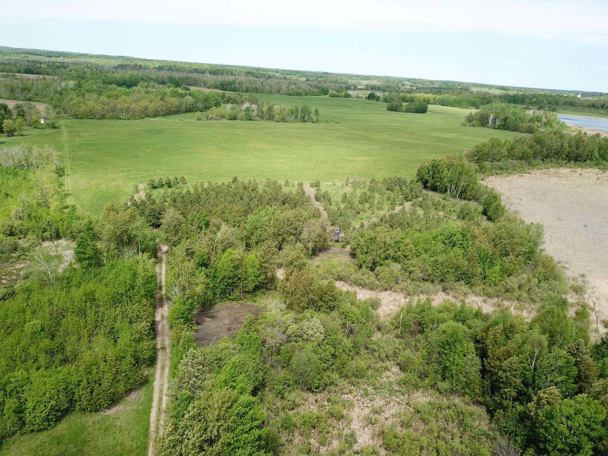 42897 County 2, Leonard, Minnesota image 42