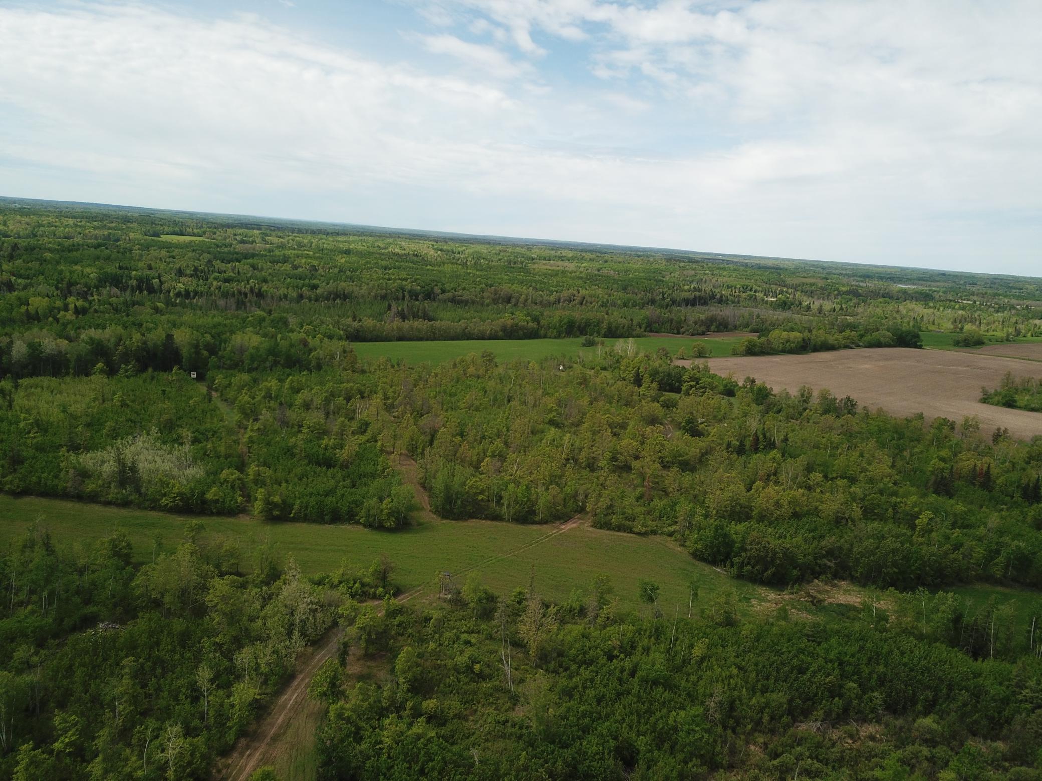 42897 County 2, Leonard, Minnesota image 47