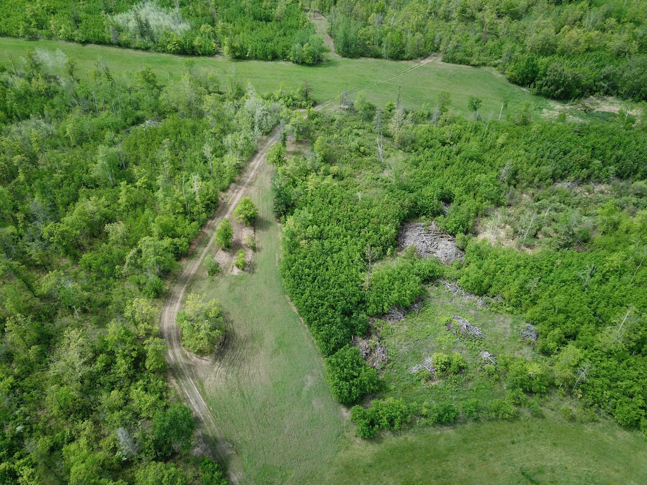 42897 County 2, Leonard, Minnesota image 49