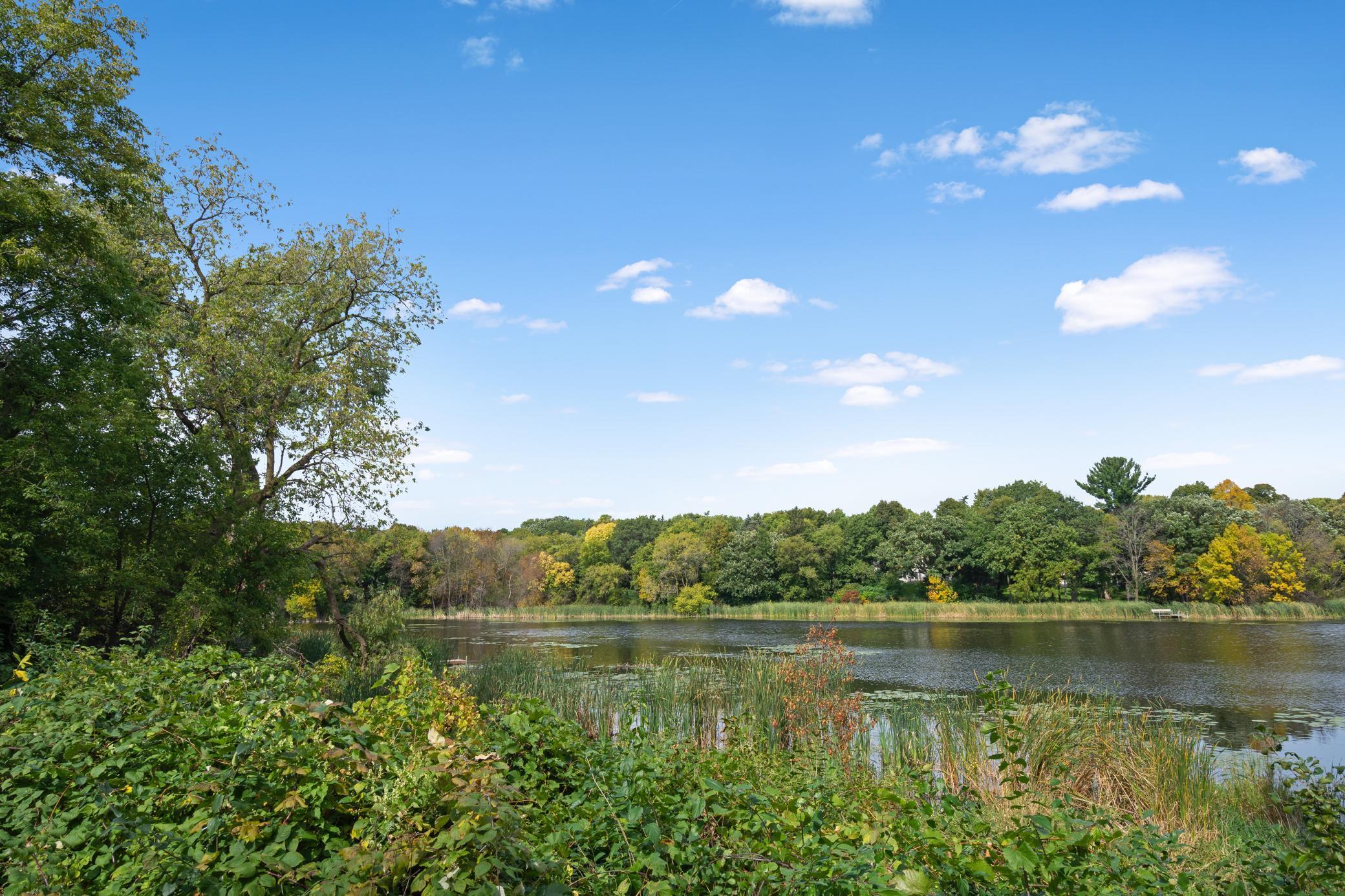 17641 Breconwood Road, Minnetonka, Minnesota image 41