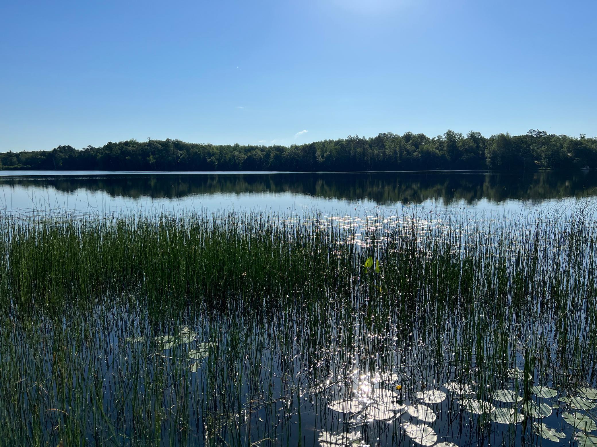 W76XX Chicog Lake Estate Road, Minong, Wisconsin image 9