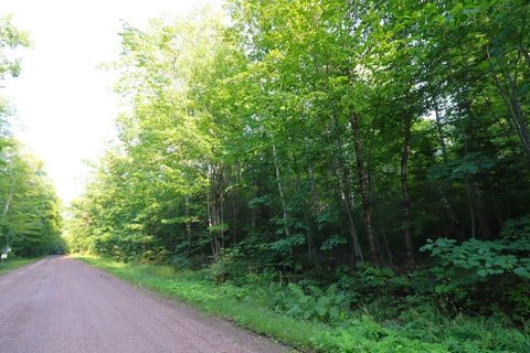 Vacant Land For Sale - 36XX N Shore Road<br/> La Pointe, WI 54850