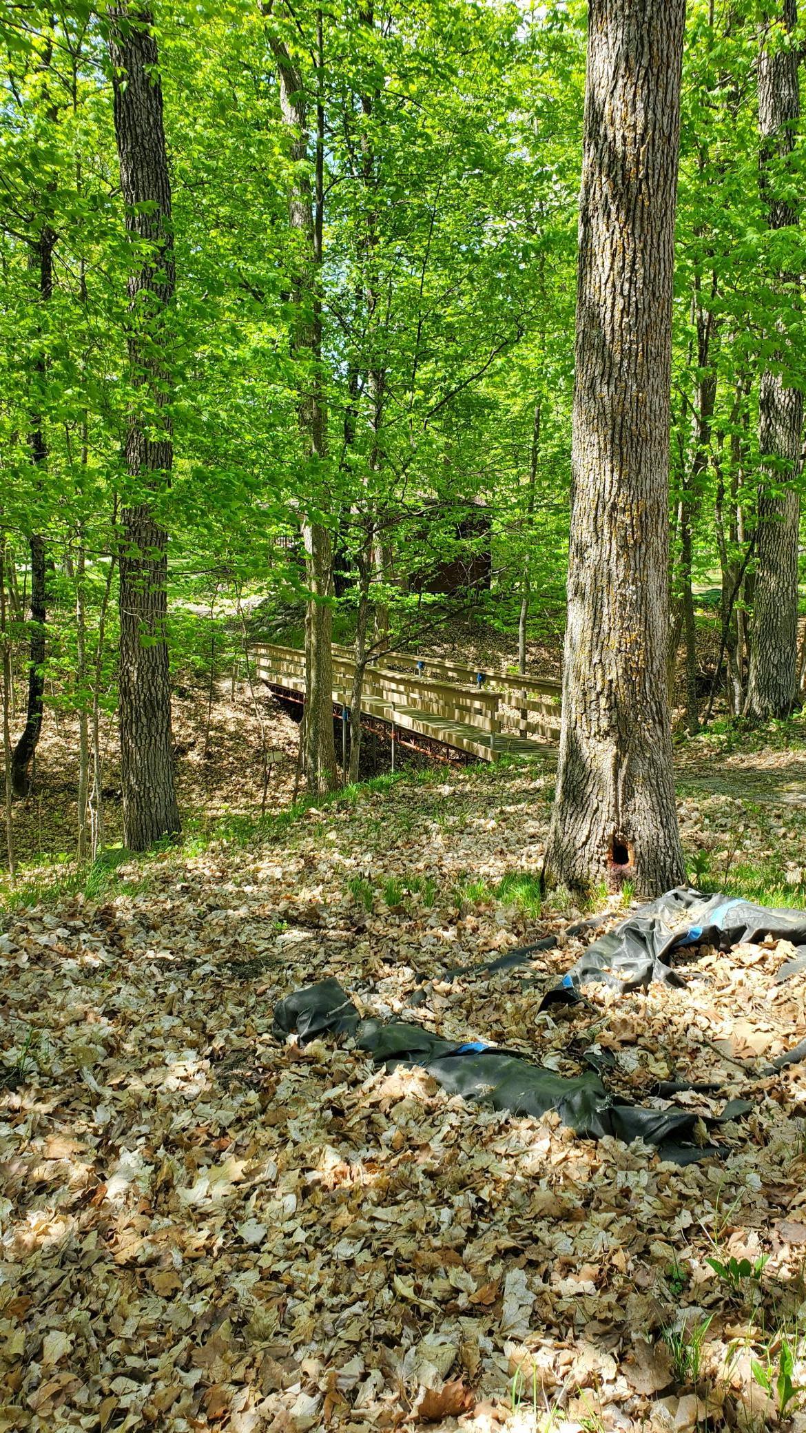 Tbd Praise Lane, Walker, Minnesota image 9