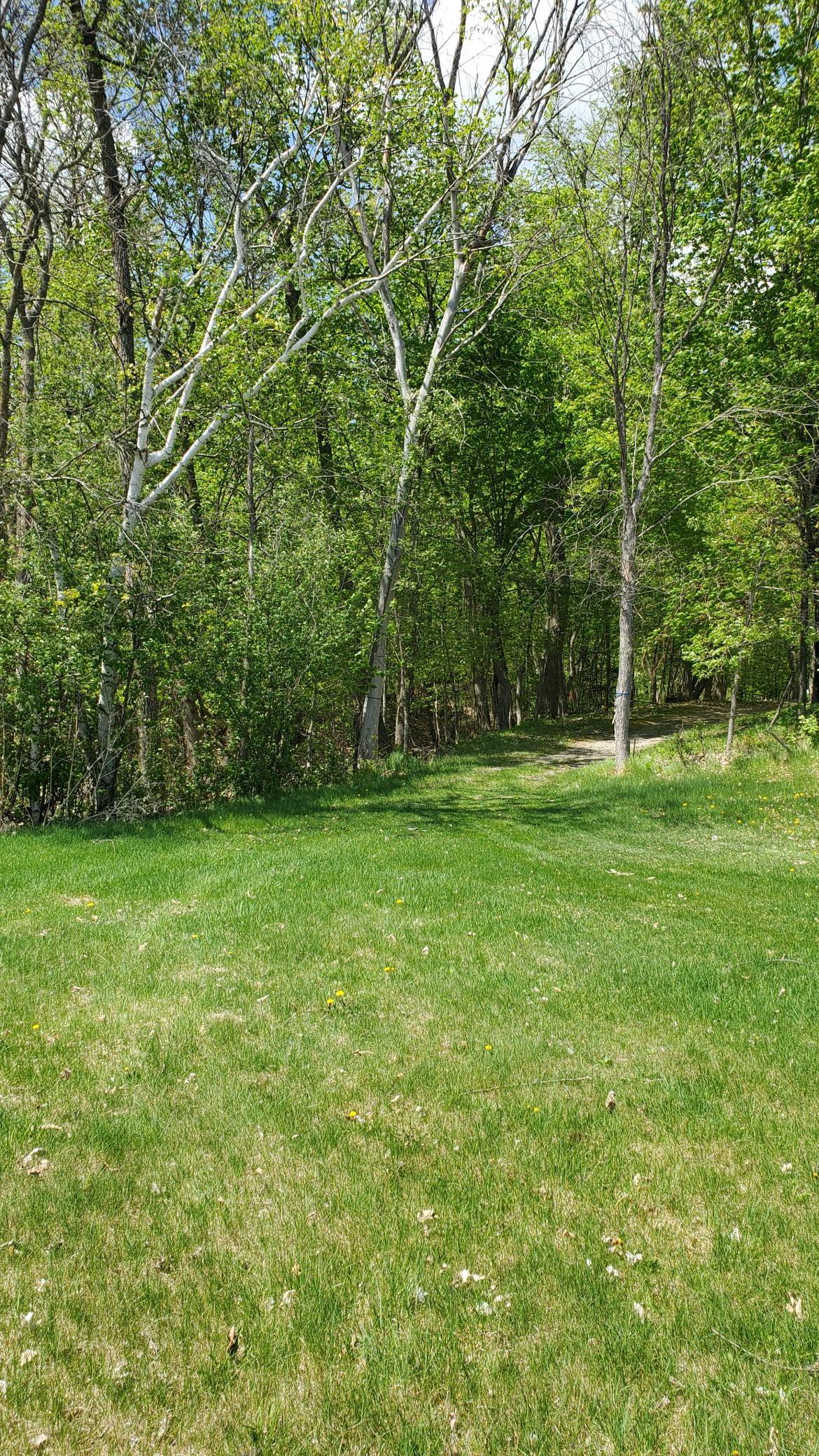 Tbd Praise Lane, Walker, Minnesota image 6