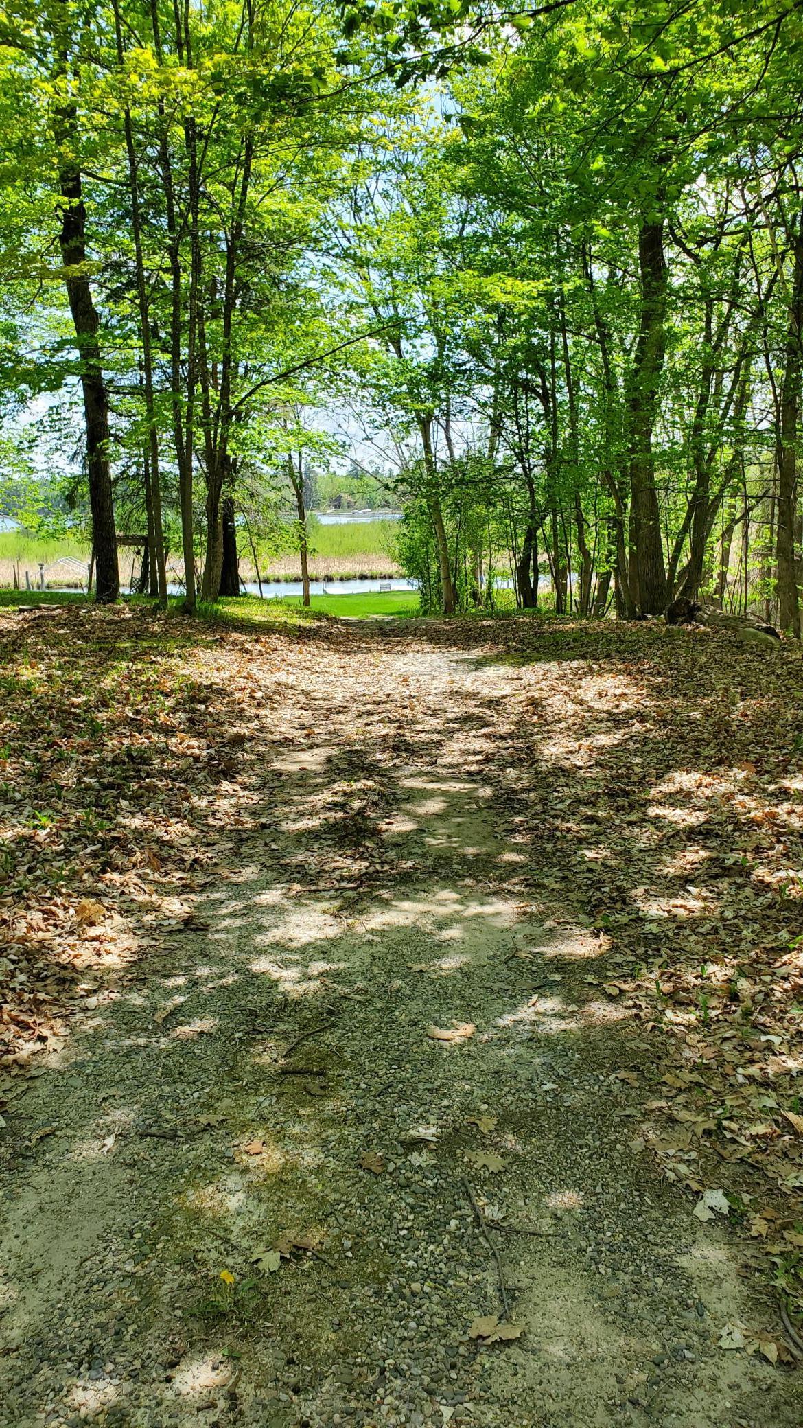 Tbd Praise Lane, Walker, Minnesota image 10