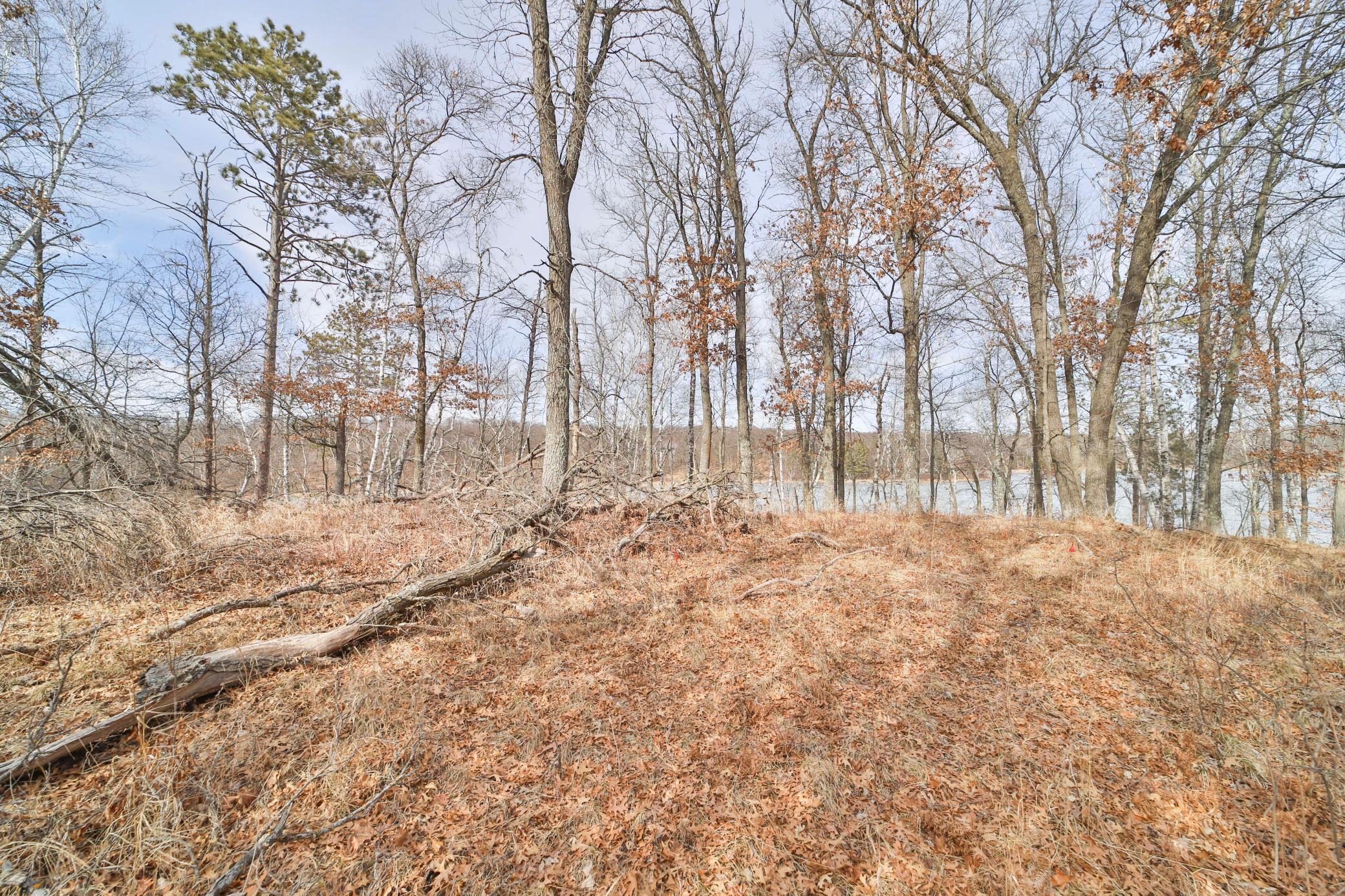 TBD Timber Ridge Drive, Baxter, Minnesota image 7