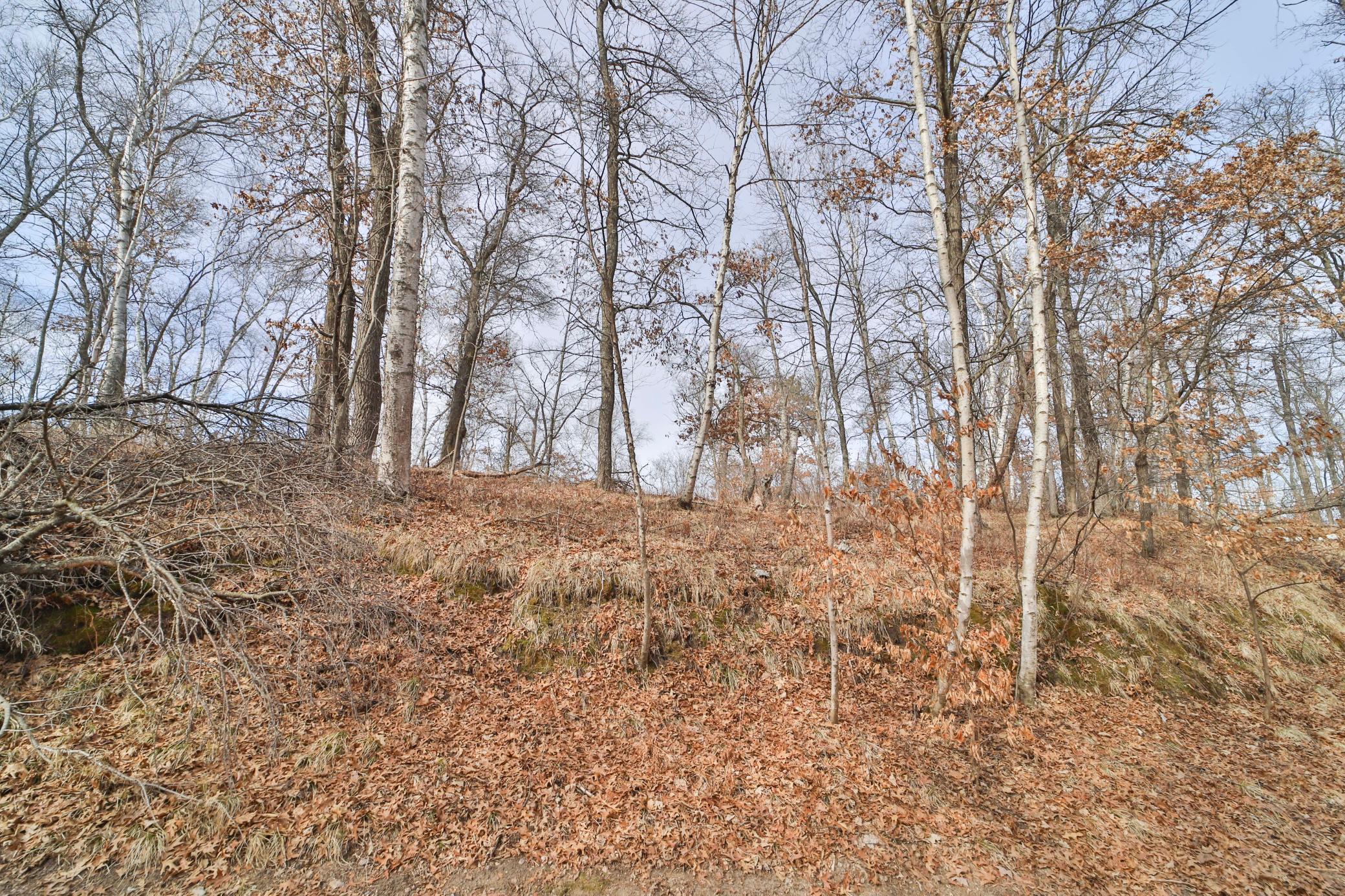 TBD Timber Ridge Drive, Baxter, Minnesota image 4
