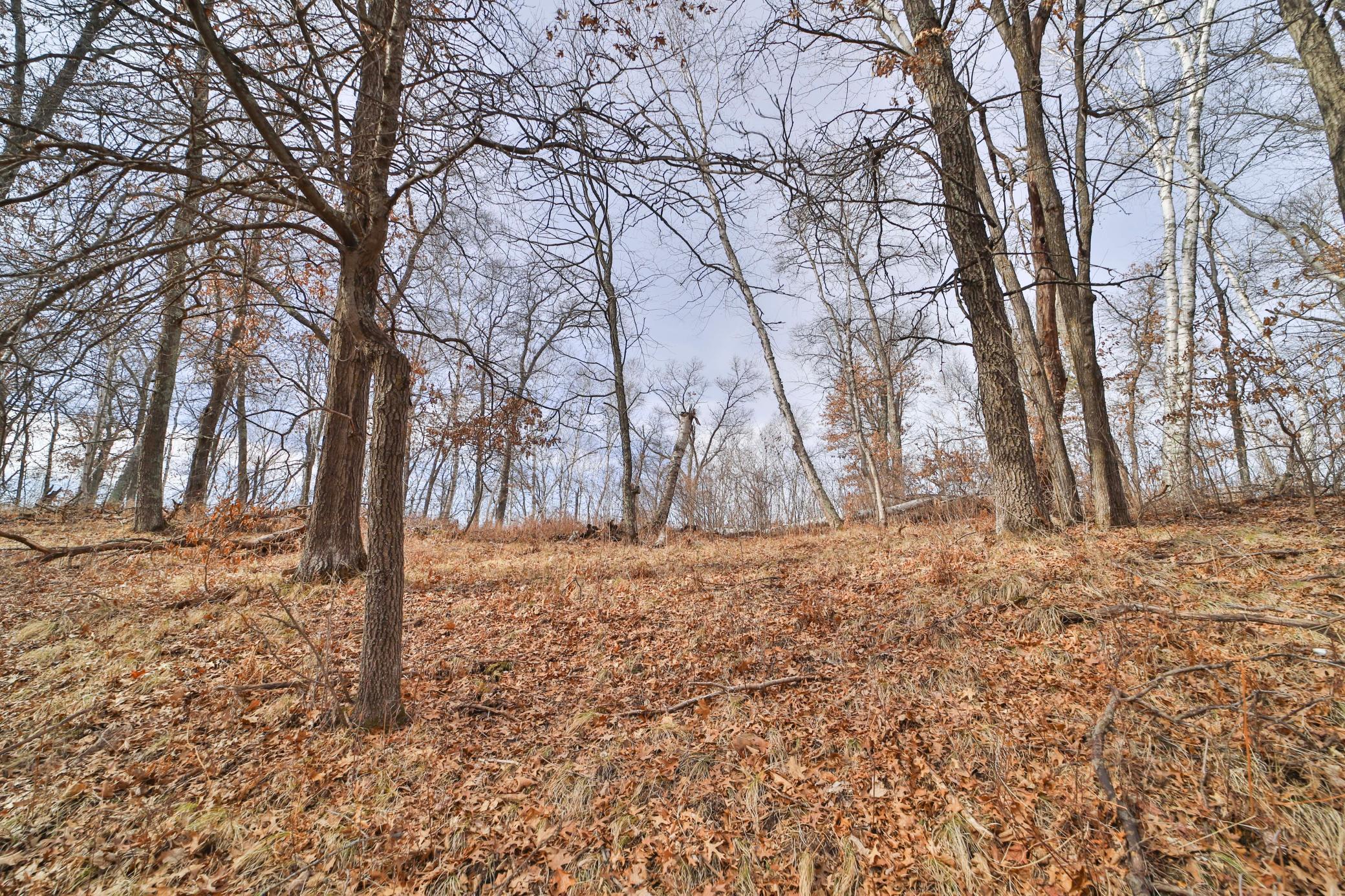 TBD Timber Ridge Drive, Baxter, Minnesota image 6
