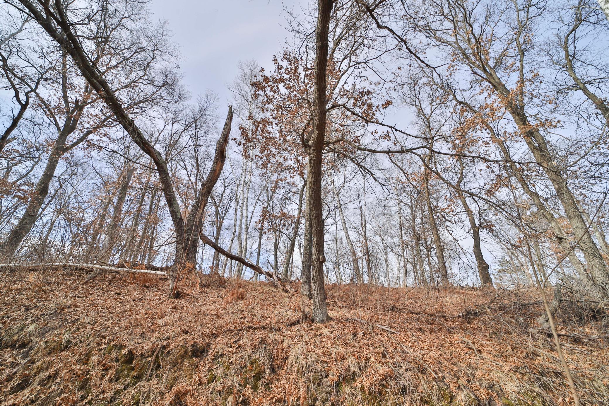 TBD Timber Ridge Drive, Baxter, Minnesota image 3