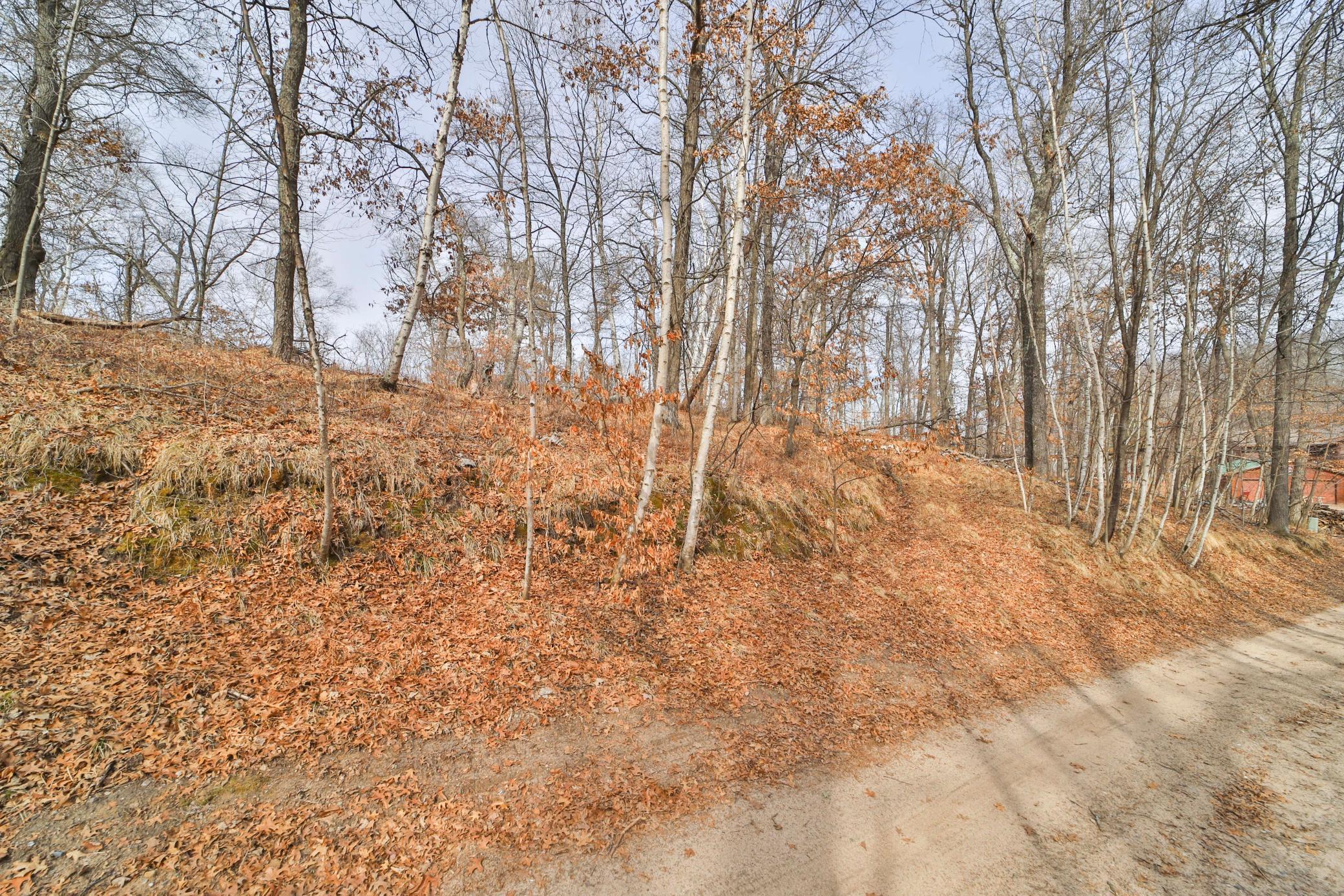 TBD Timber Ridge Drive, Baxter, Minnesota image 5
