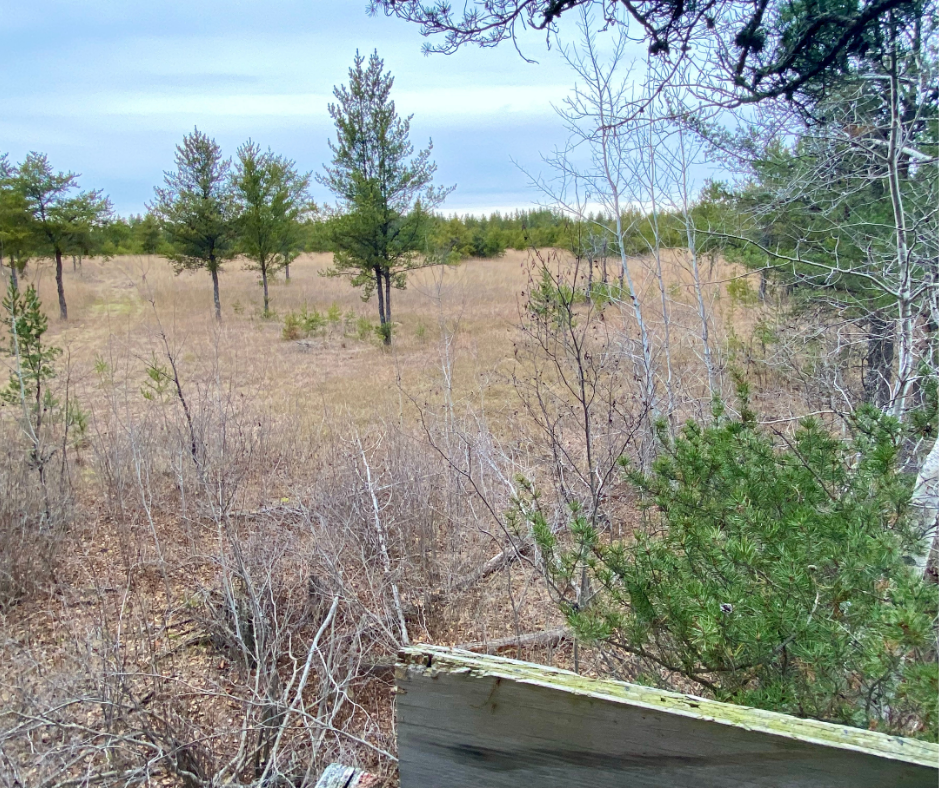39794 259th Avenue, Menahga, Minnesota image 39