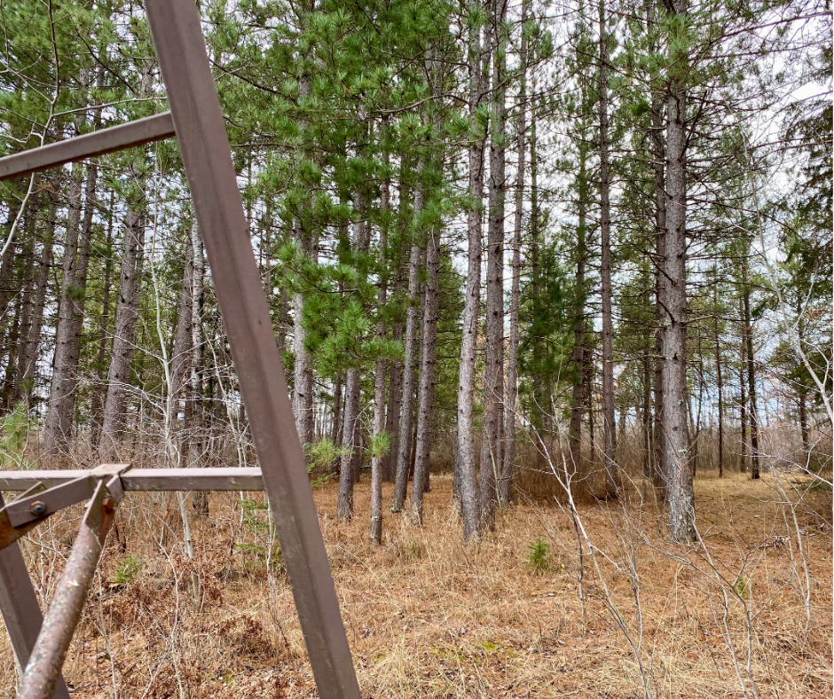 39794 259th Avenue, Menahga, Minnesota image 31