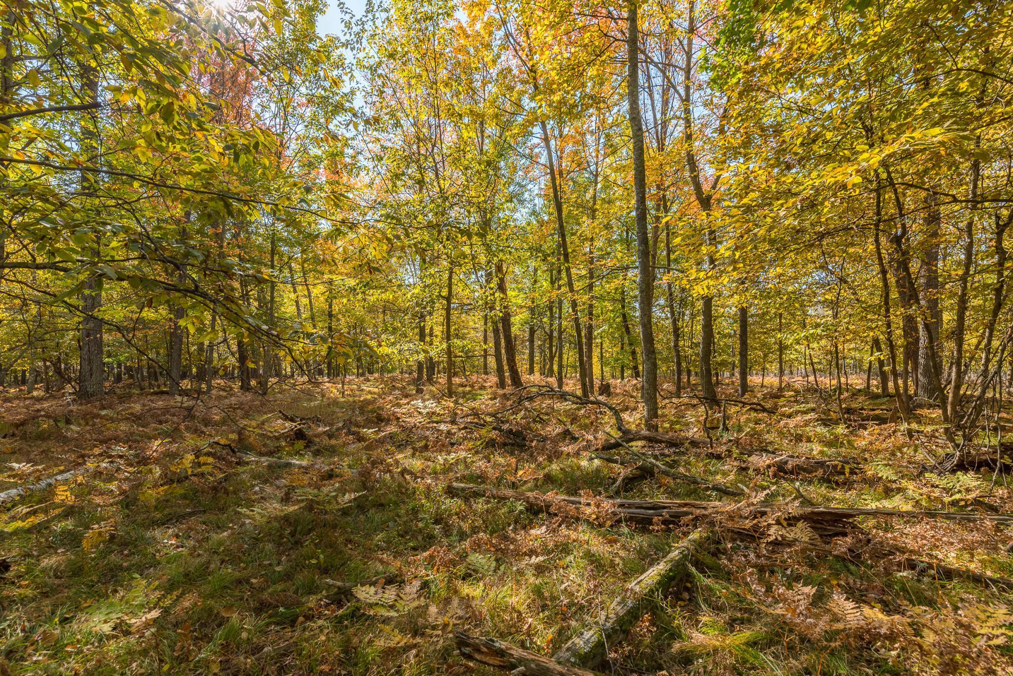 24549 Perrin Pt., Nisswa, Minnesota image 14