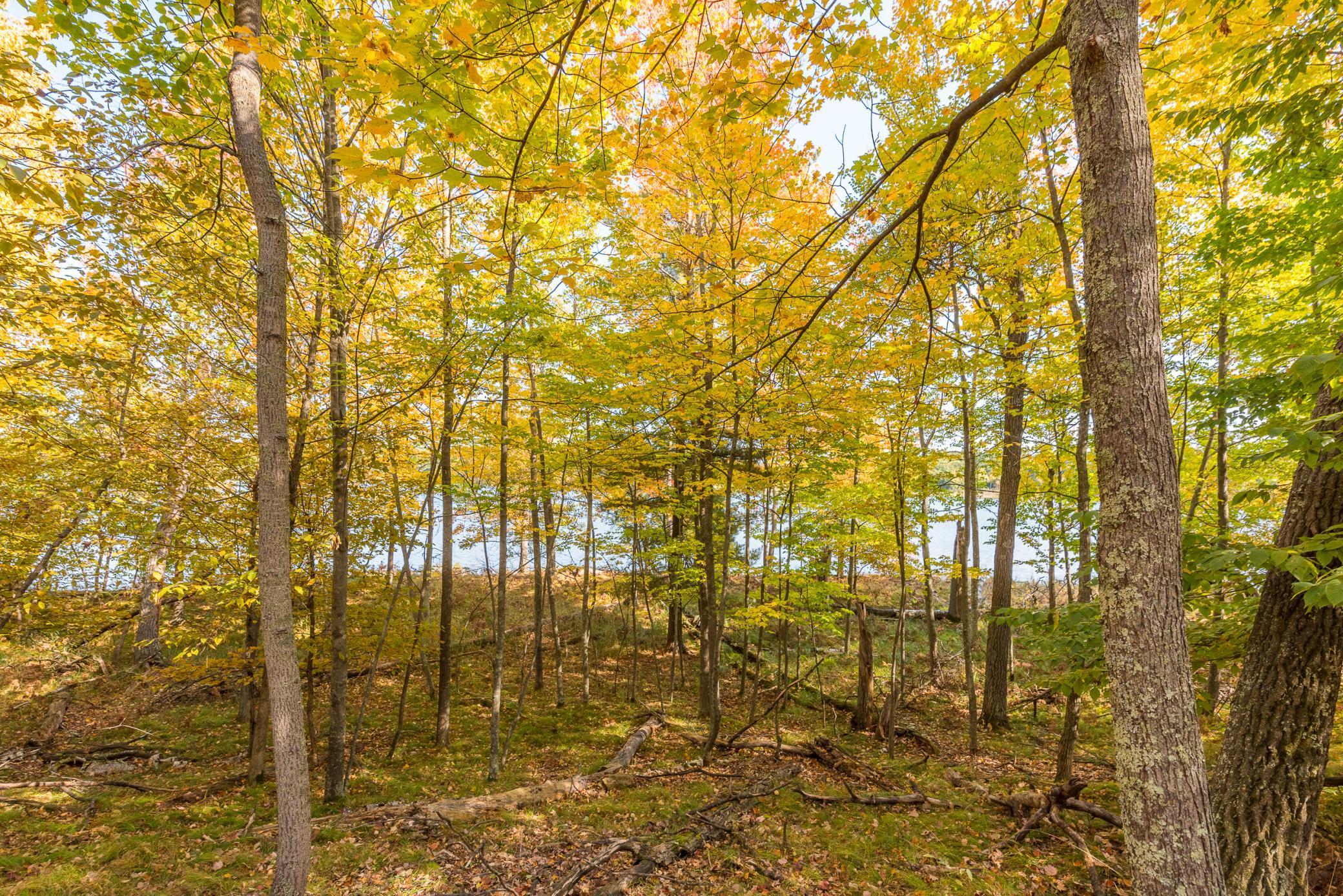 24549 Perrin Pt., Nisswa, Minnesota image 13