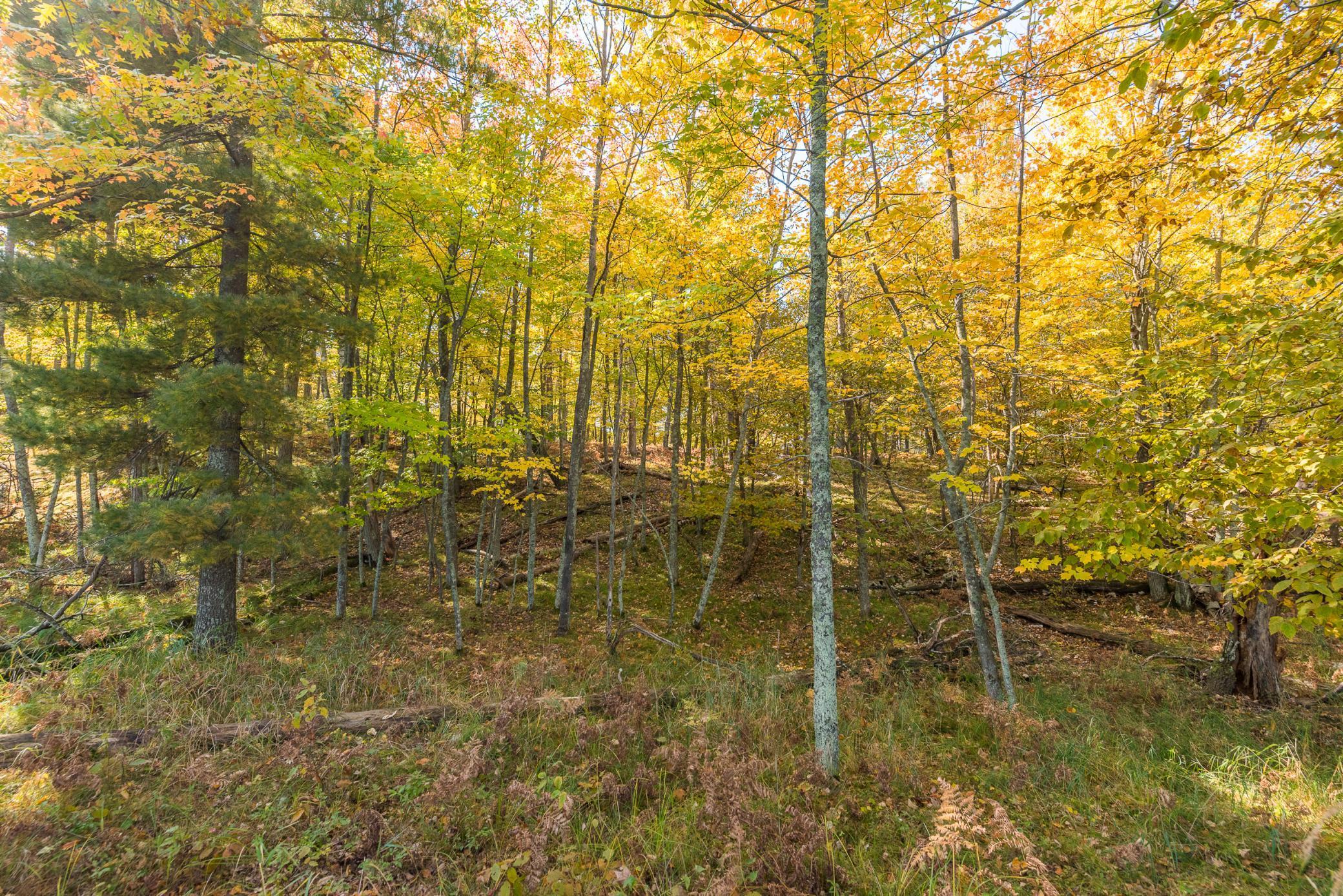 24549 Perrin Pt., Nisswa, Minnesota image 17