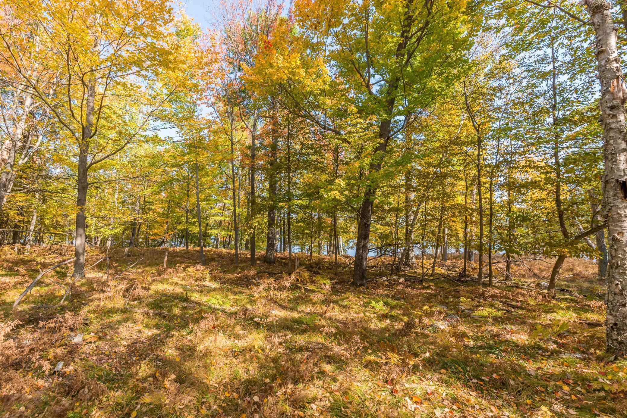 24549 Perrin Pt., Nisswa, Minnesota image 10
