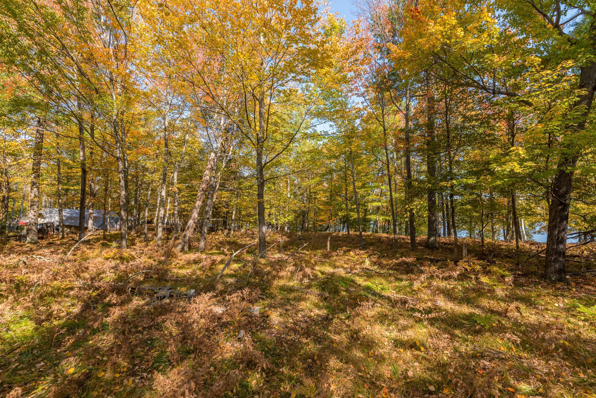24549 Perrin Pt., Nisswa, Minnesota image 12