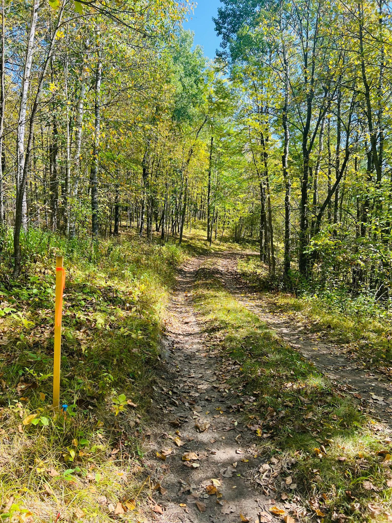 TBD Wolf Creek Road, Bovey, Minnesota image 12