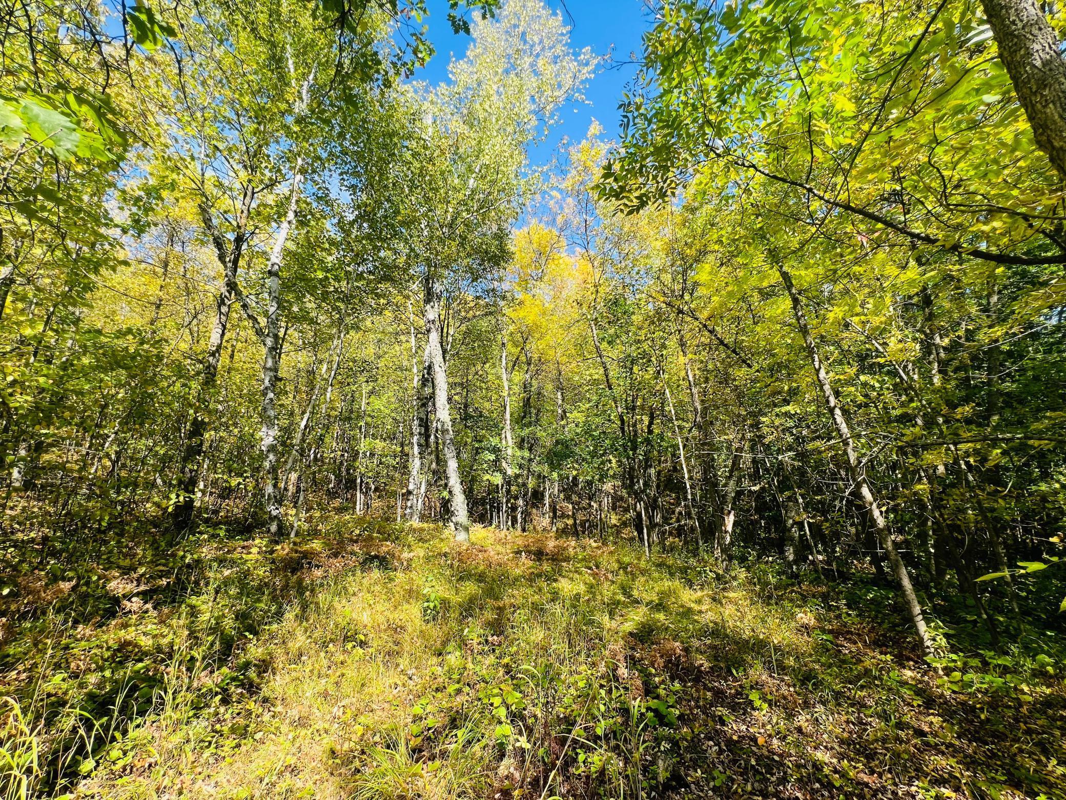 TBD Wolf Creek Road, Bovey, Minnesota image 17