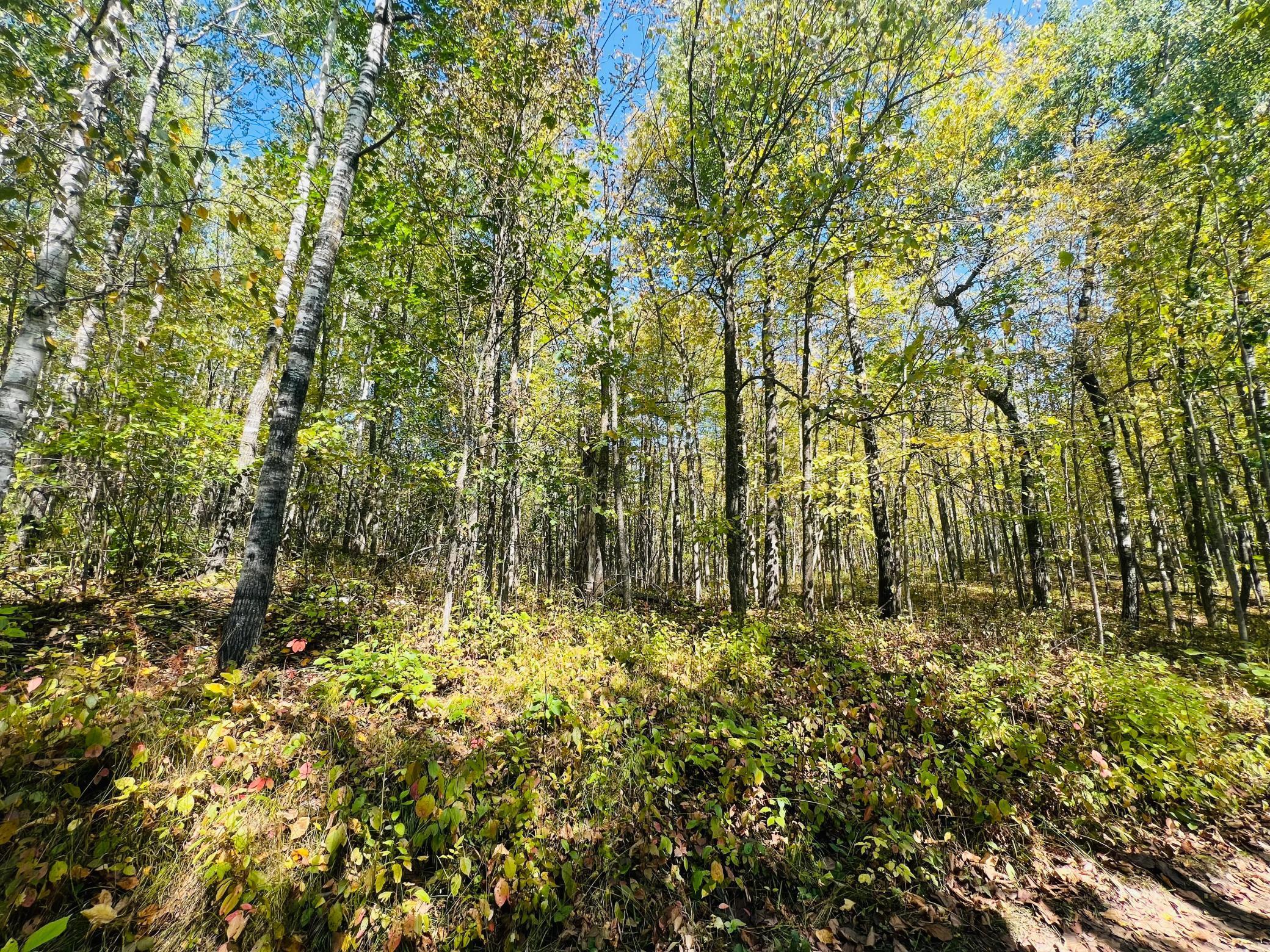 TBD Wolf Creek Road, Bovey, Minnesota image 10