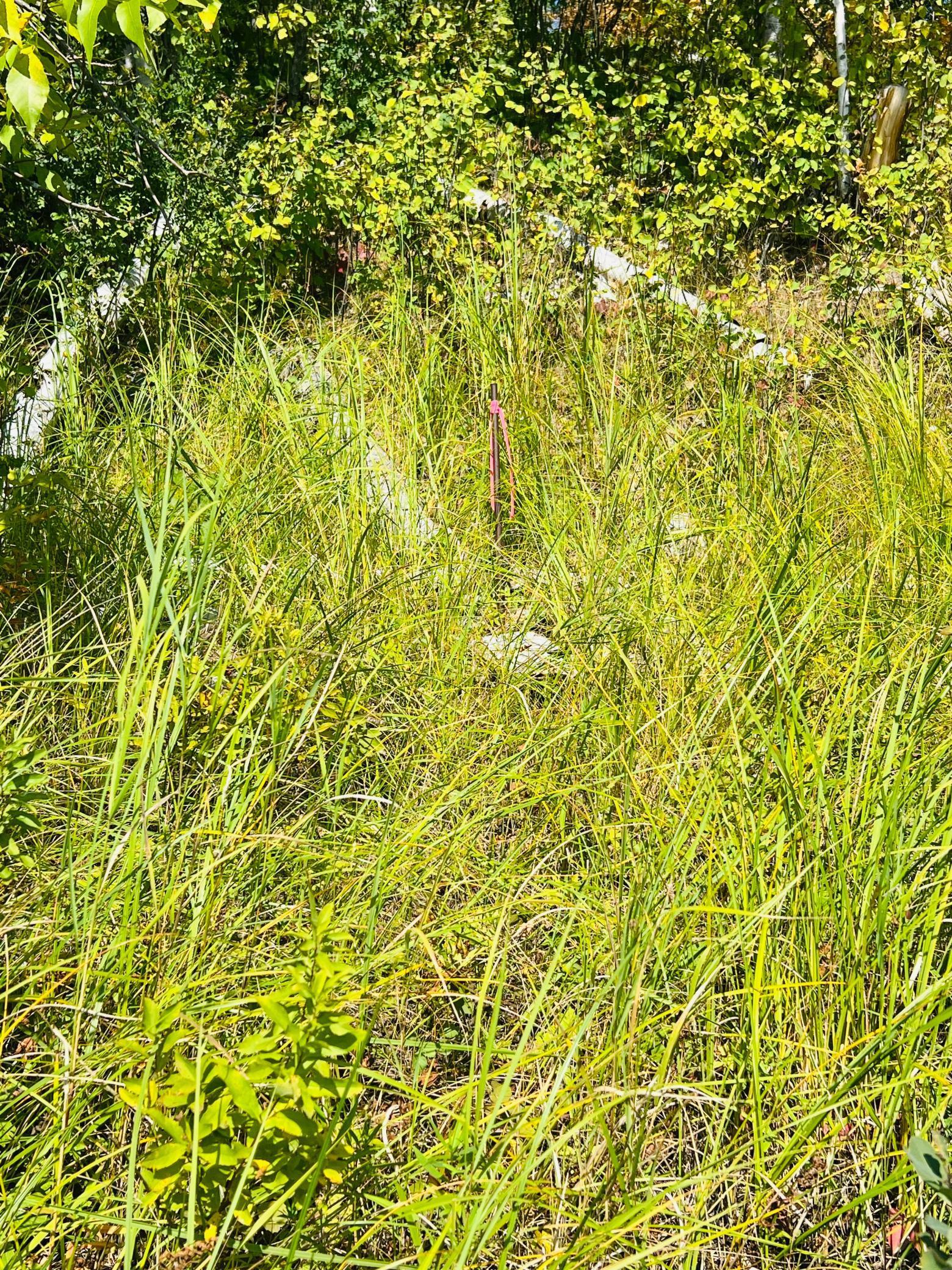 TBD Wolf Creek Road, Bovey, Minnesota image 21